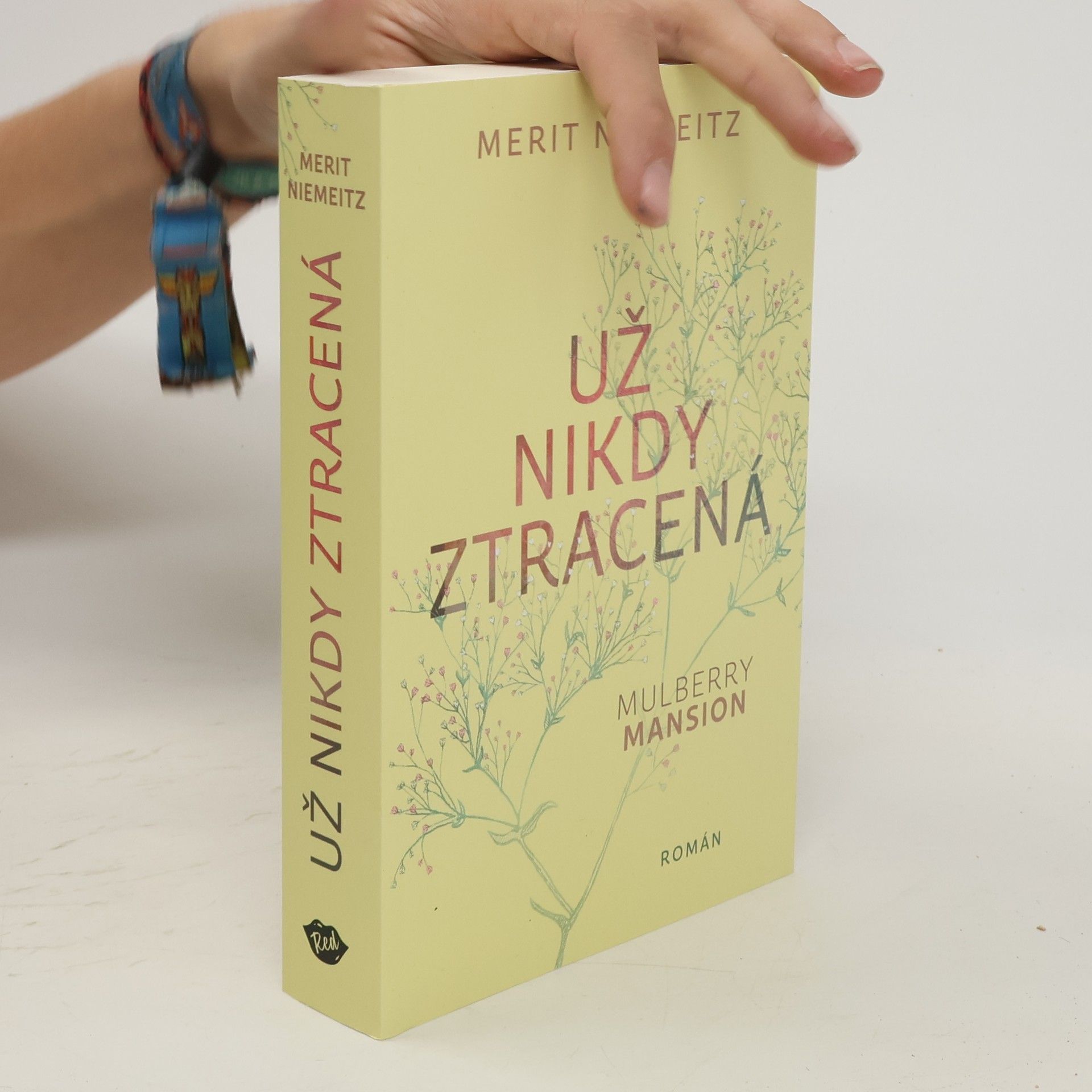 Merit Niemeitz Už nikdy ztracená