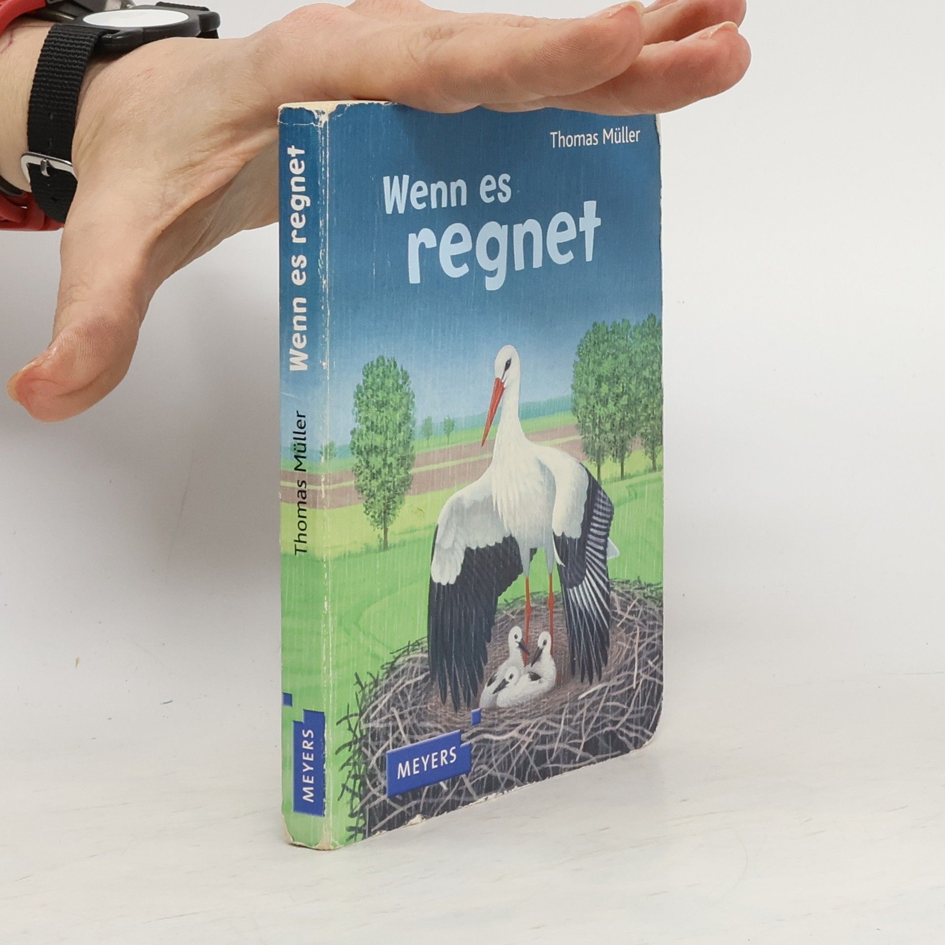 Thomas M. Müller Wenn es regnet