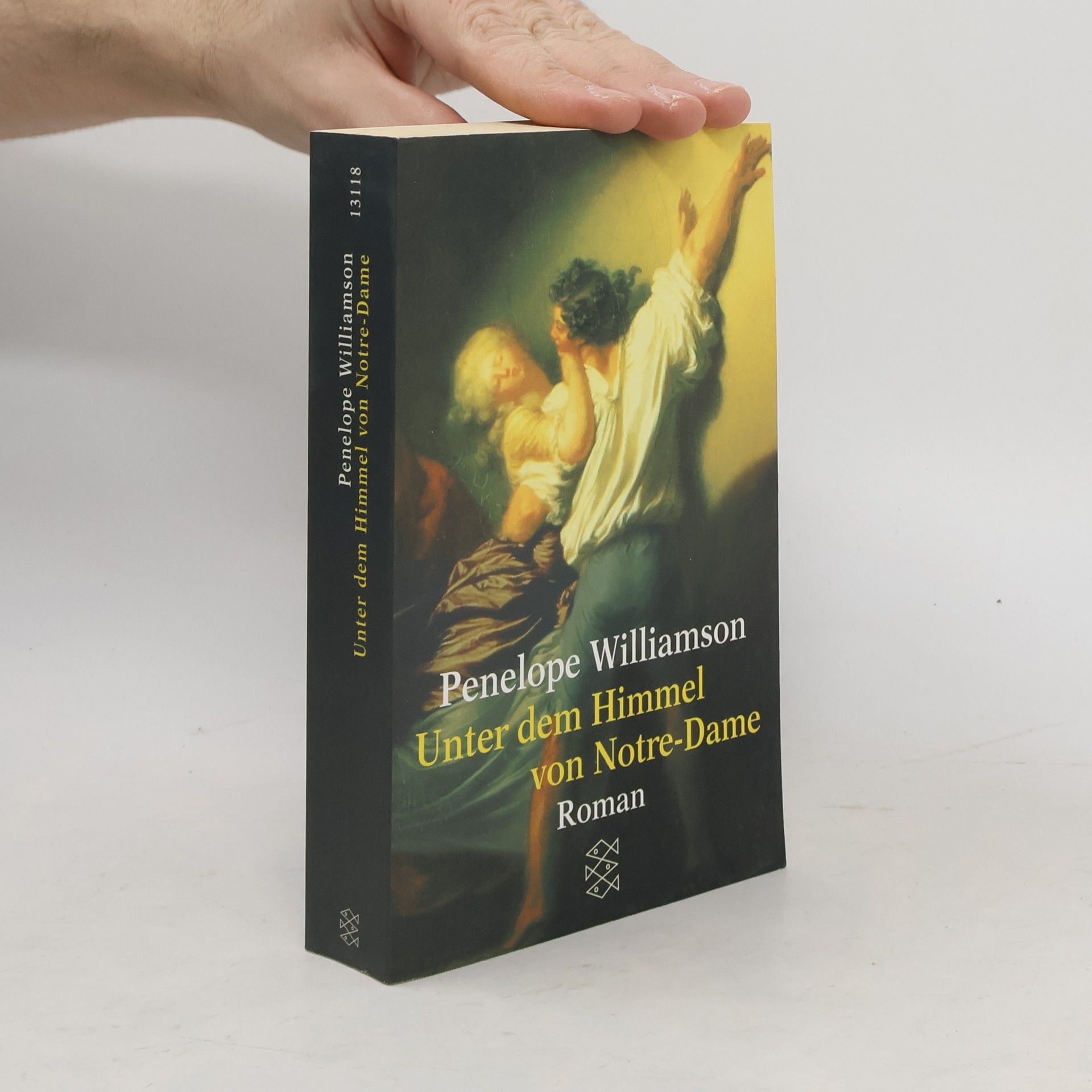 Penelope Williamson Unter dem Himmel von Notre-Dame