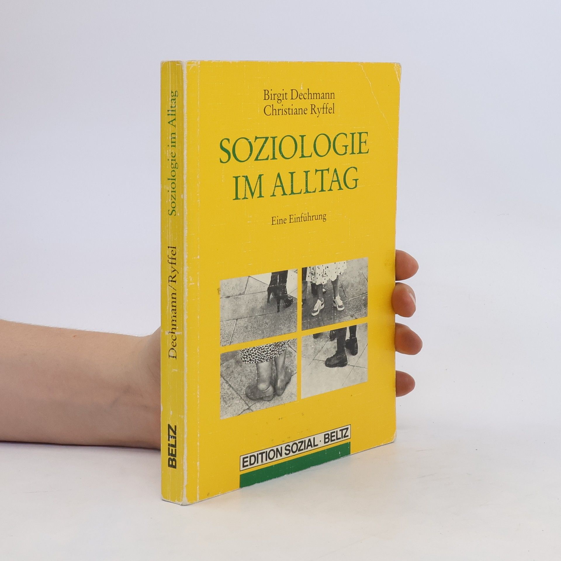 Birgit Dechmann Soziologie im Alltag