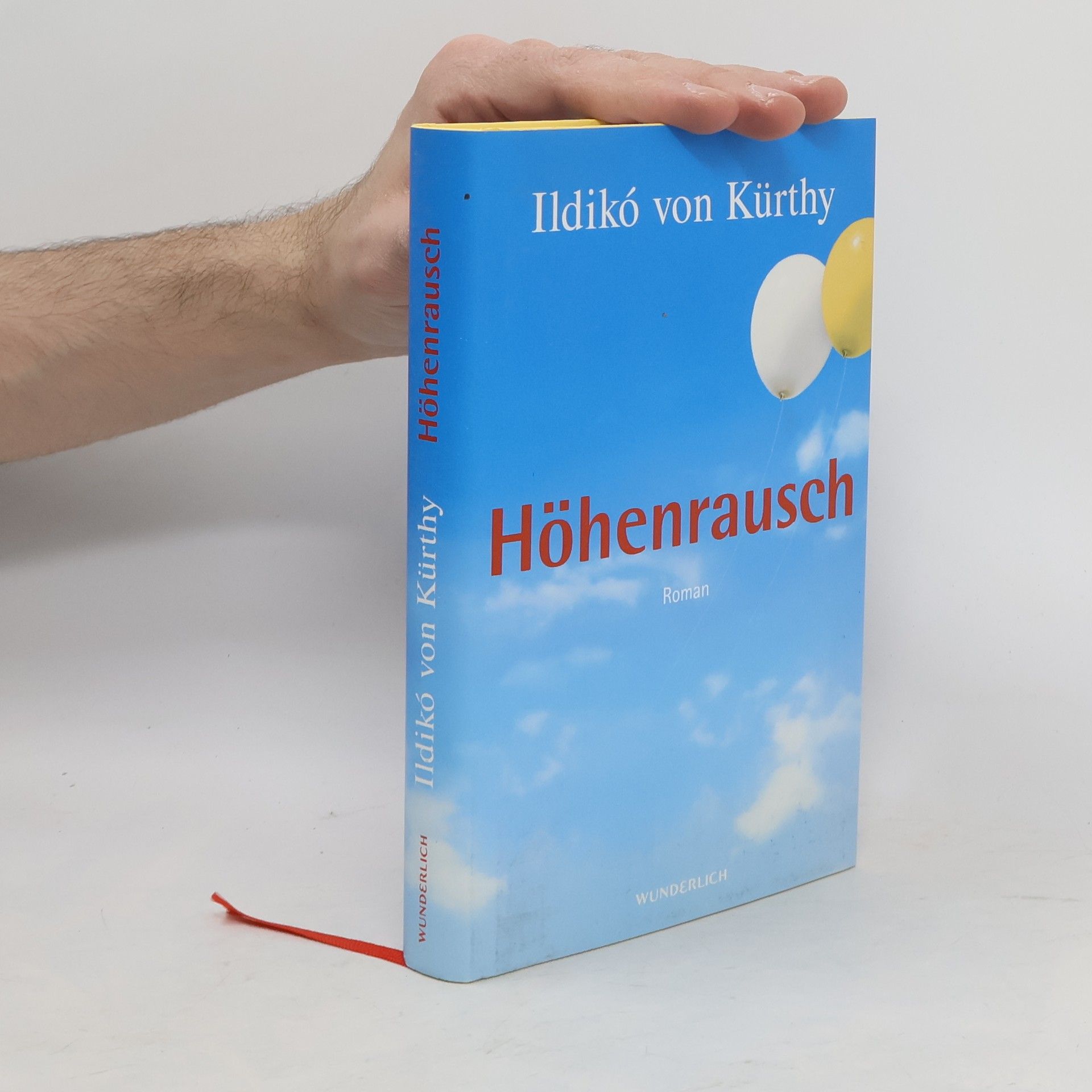 Ildikó von Kürthy Höhenrausch. Roman