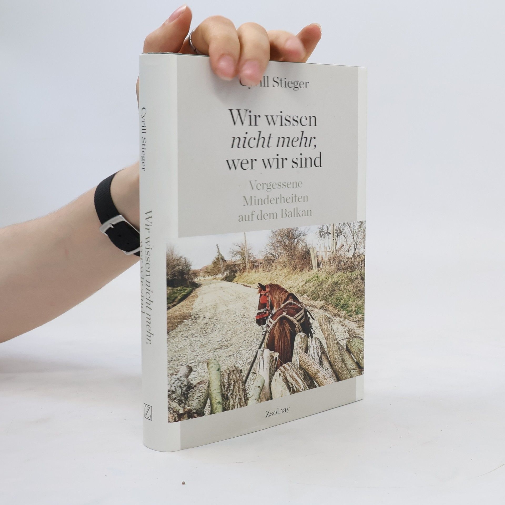 Cyrill Stieger Wir wissen nicht mehr, wer wir sind