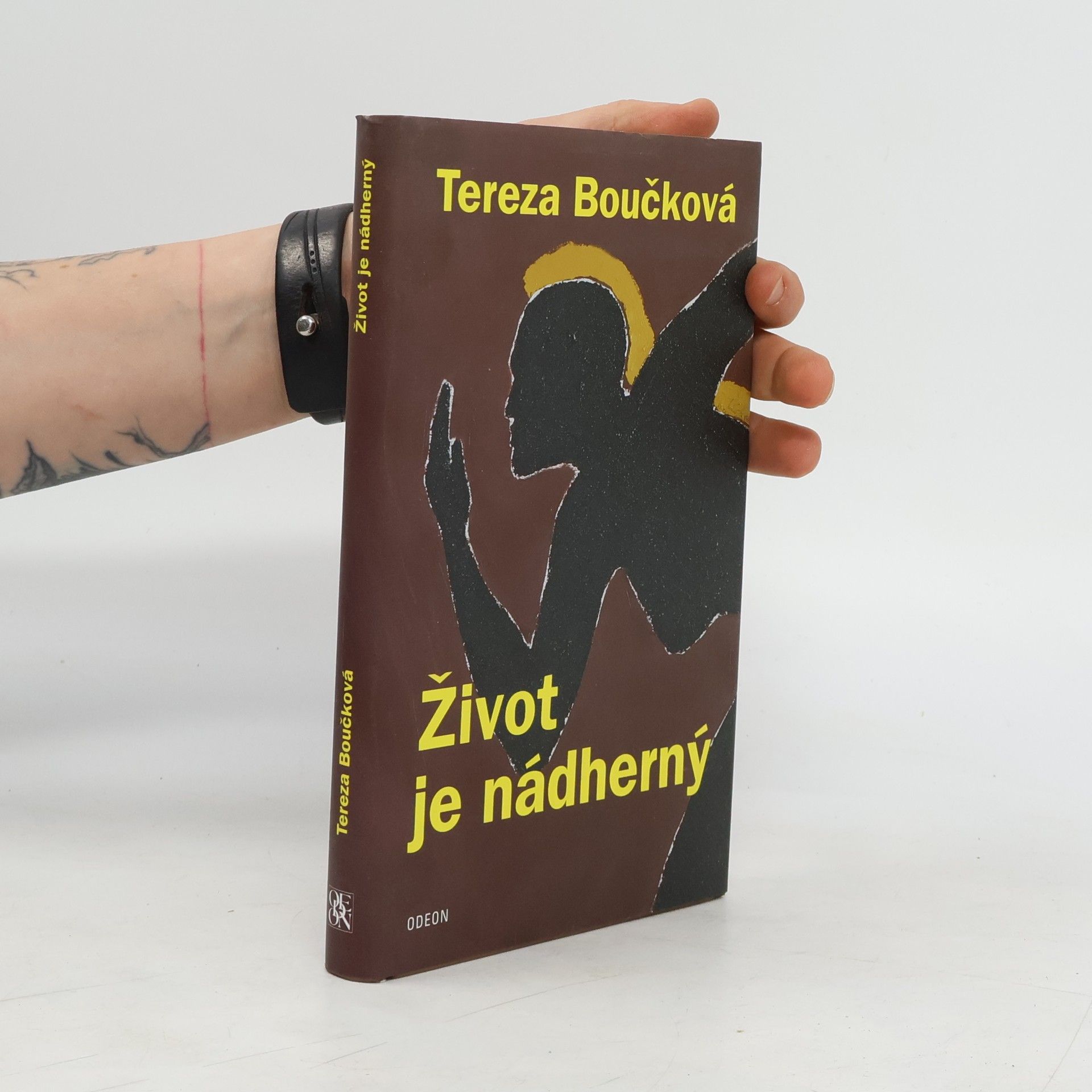 Tereza Boučková Život je nádherný