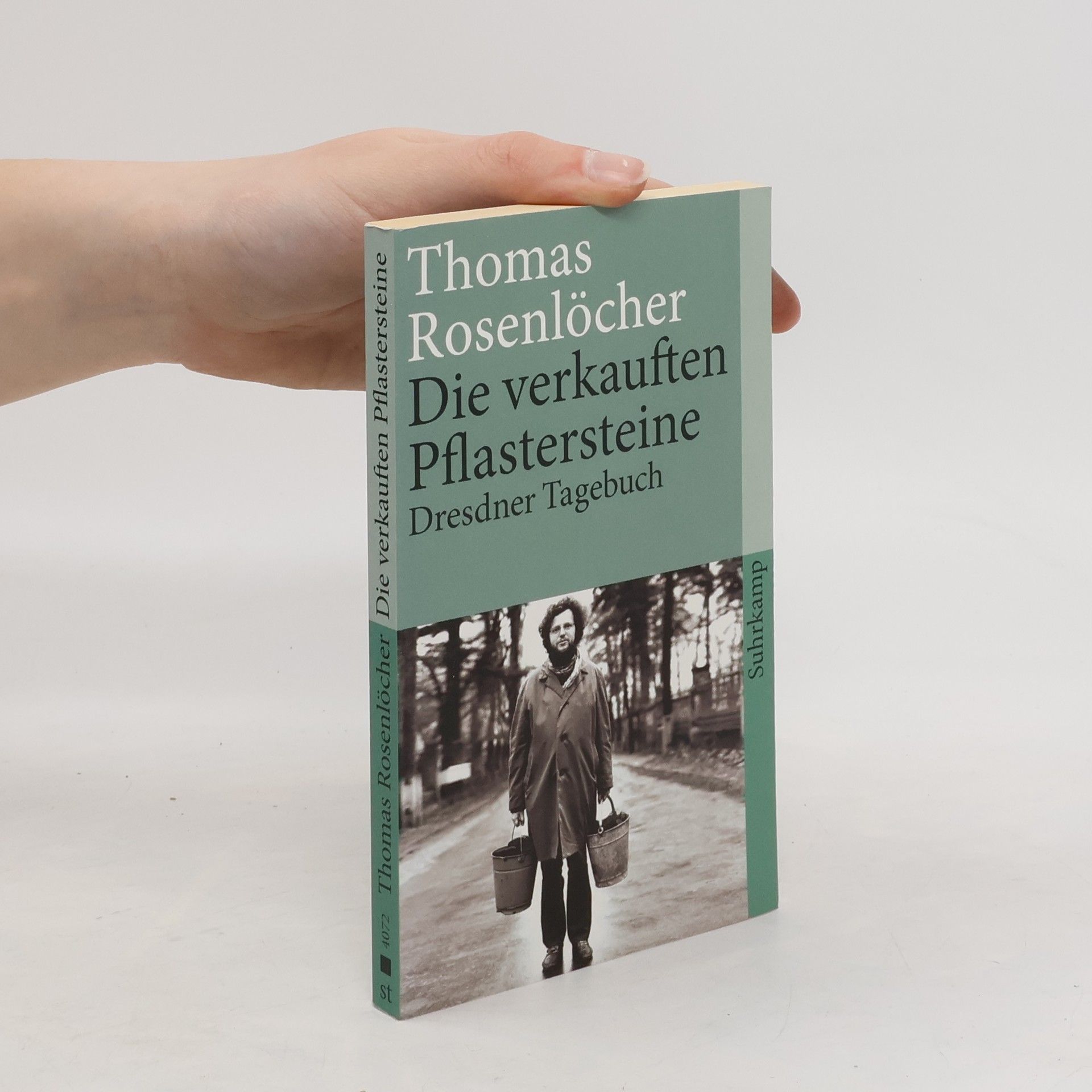 Thomas Rosenlöcher Die verkauften Pflastersteine