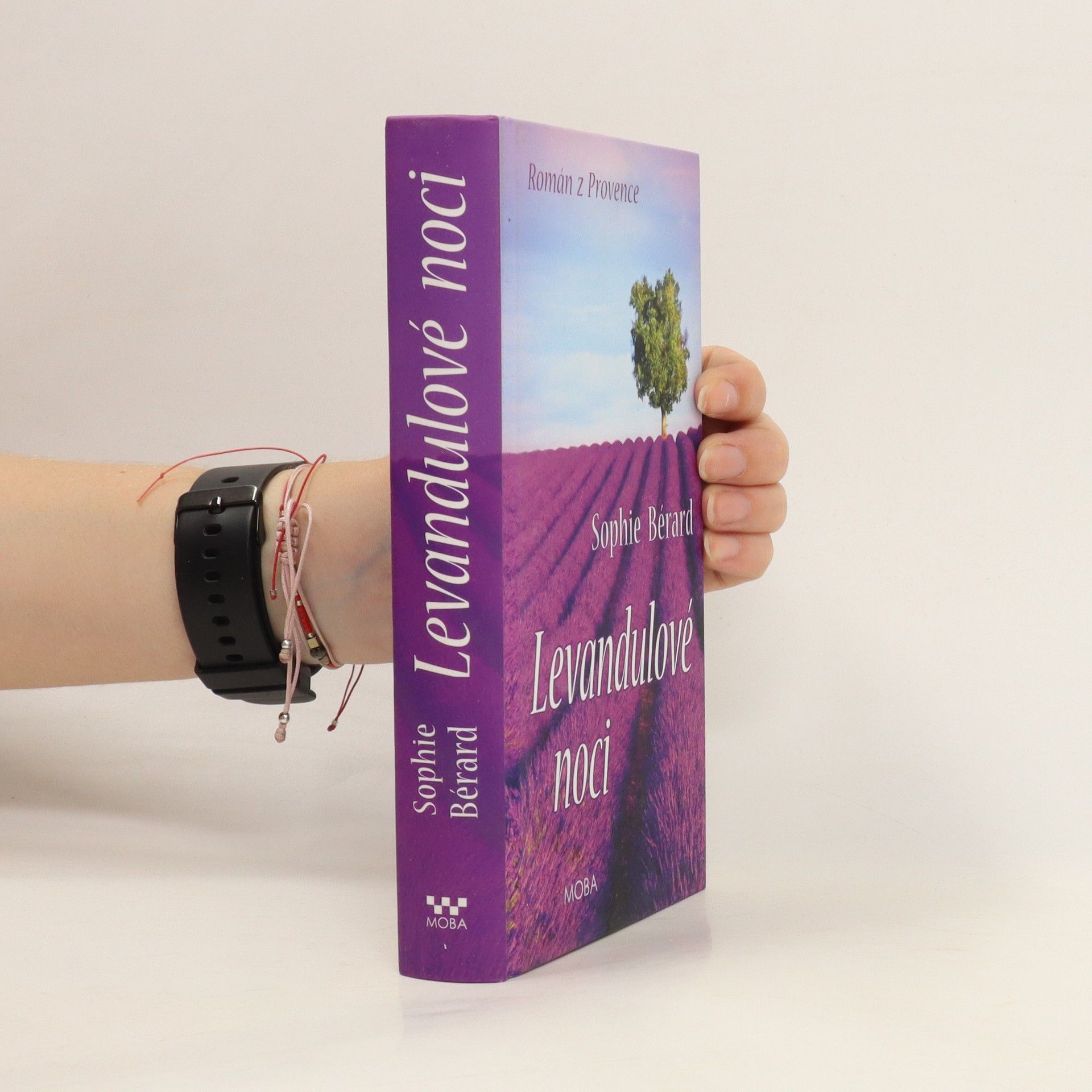 Kerstin Gier Levandulové noci. Román z Provence