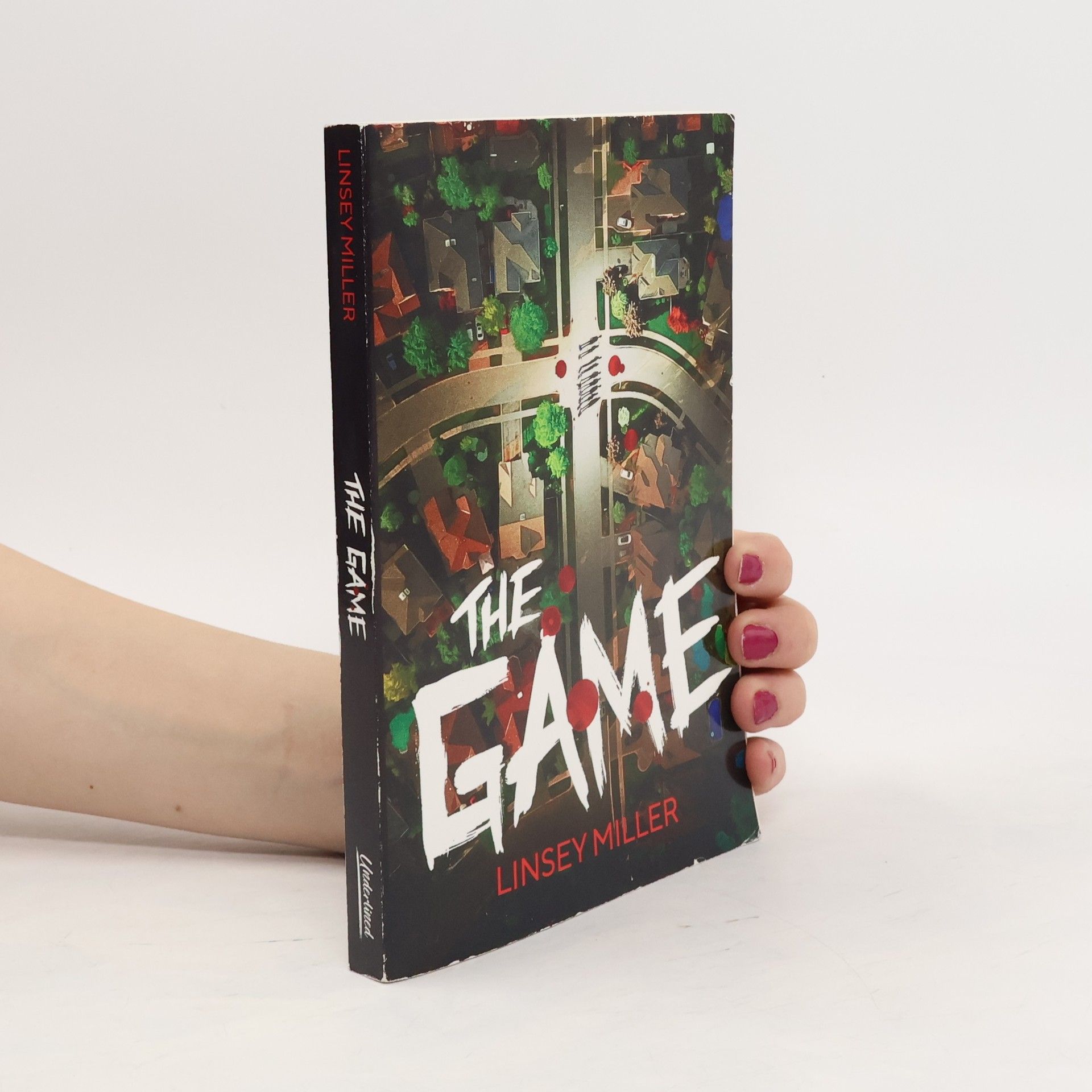 Linsey Miller The Game