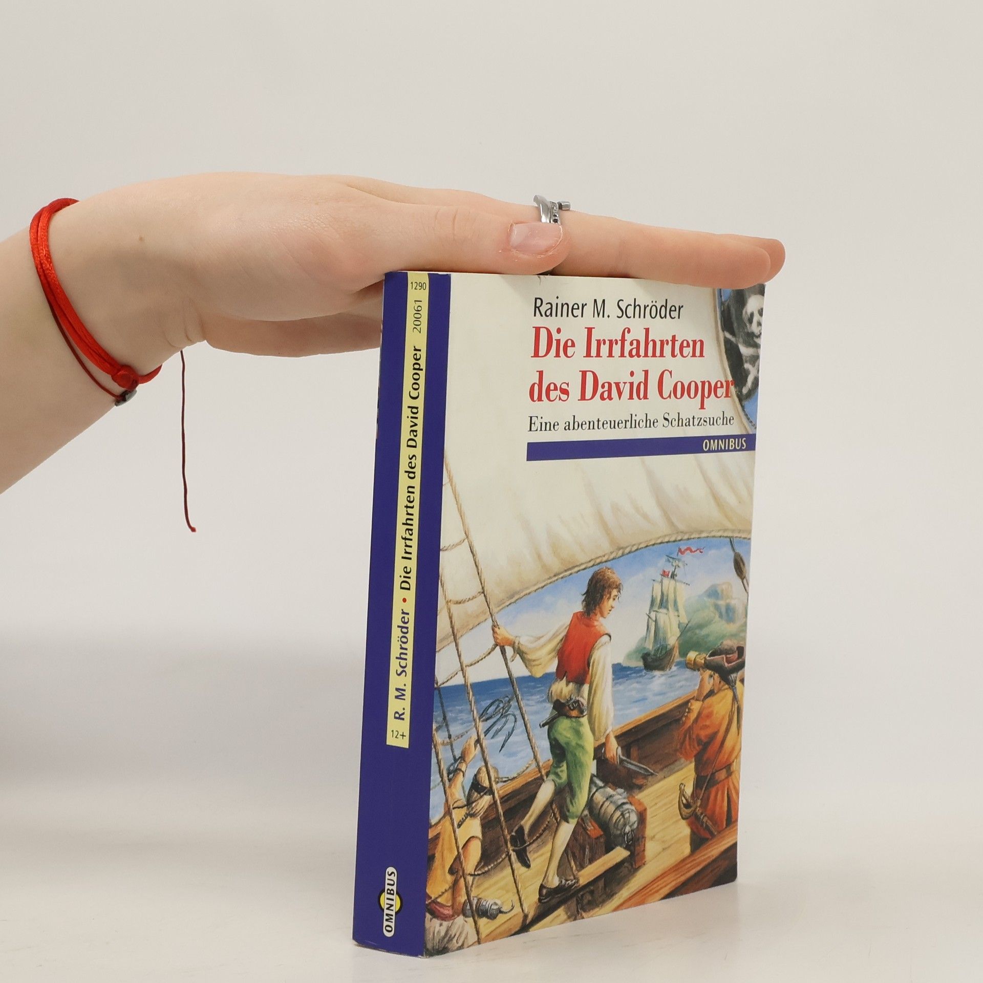 Rainer M. Schröder Die Irrfahrten des David Cooper
