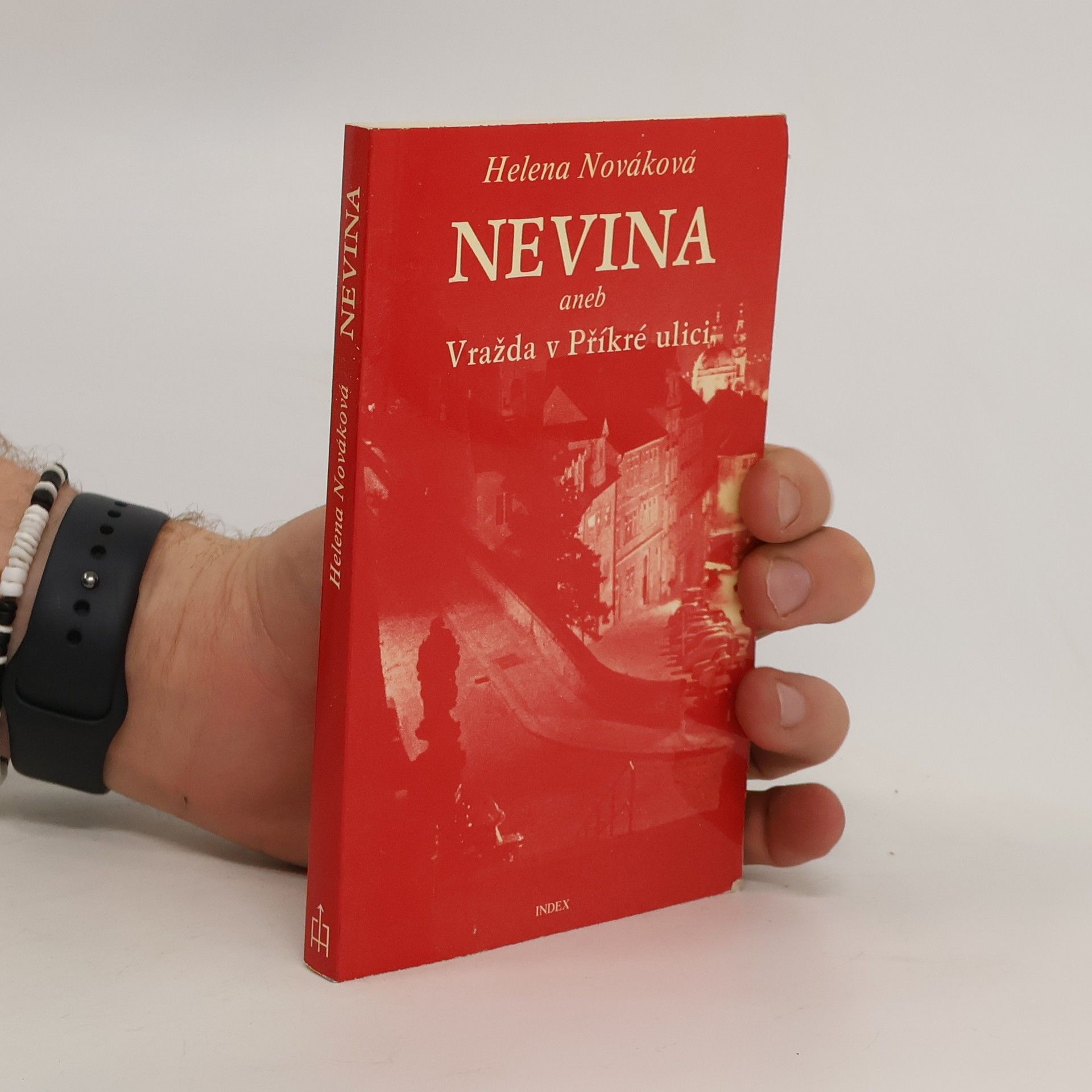 Nováková Helena Nevina, aneb, Vražda v Příkré ulici