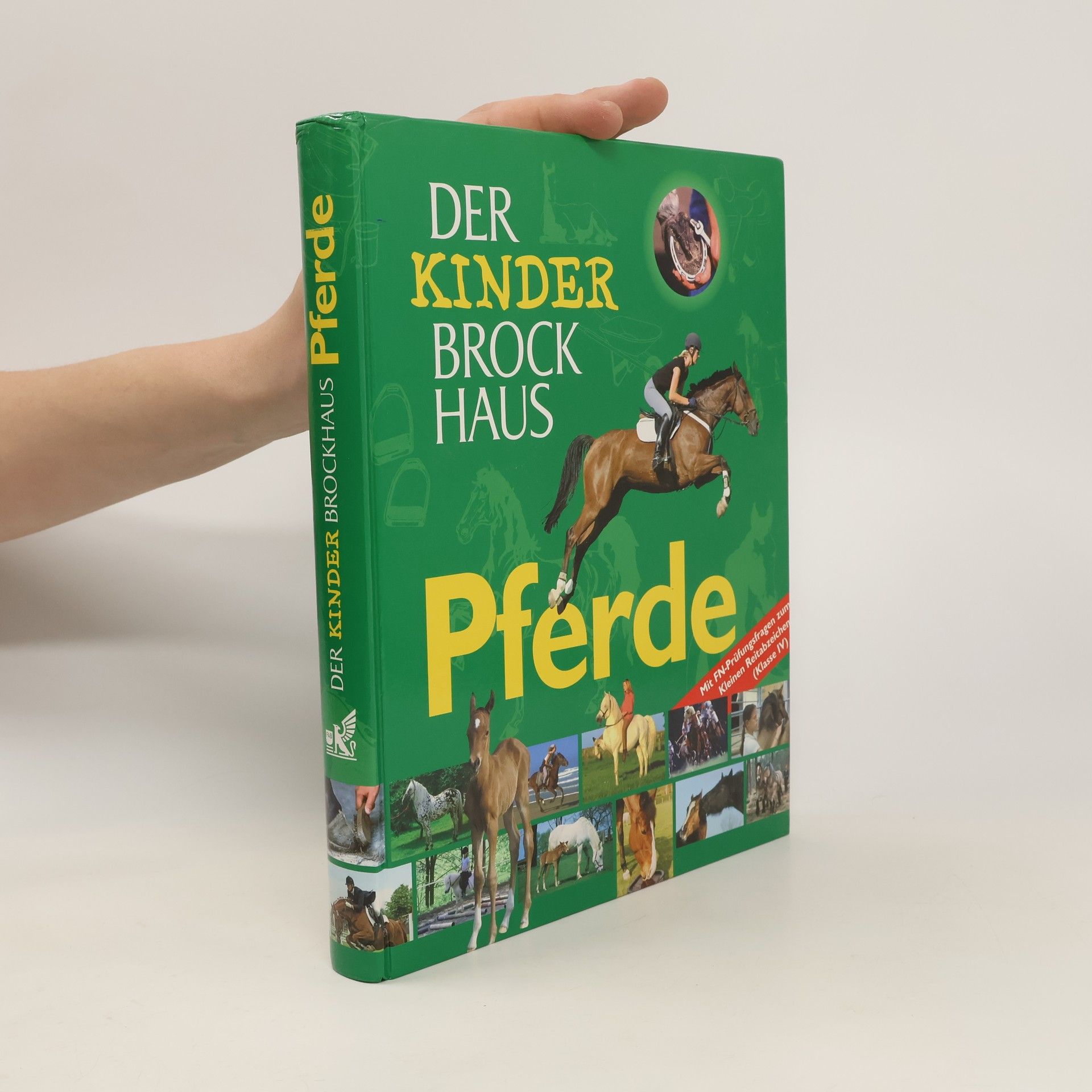 Bernd Flessner Der Kinder-Brockhaus - Pferde
