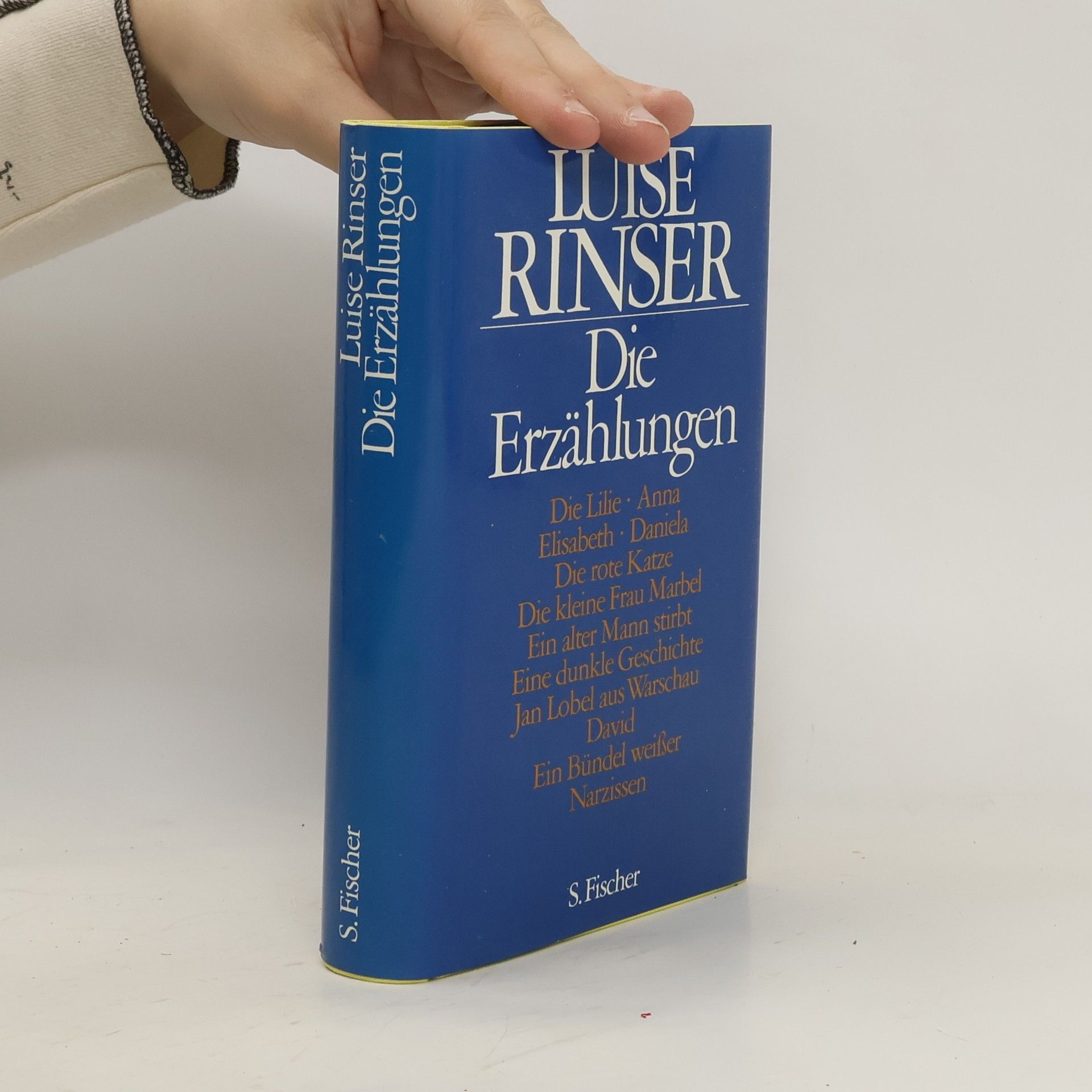 Luise Rinser Die Erzählungen