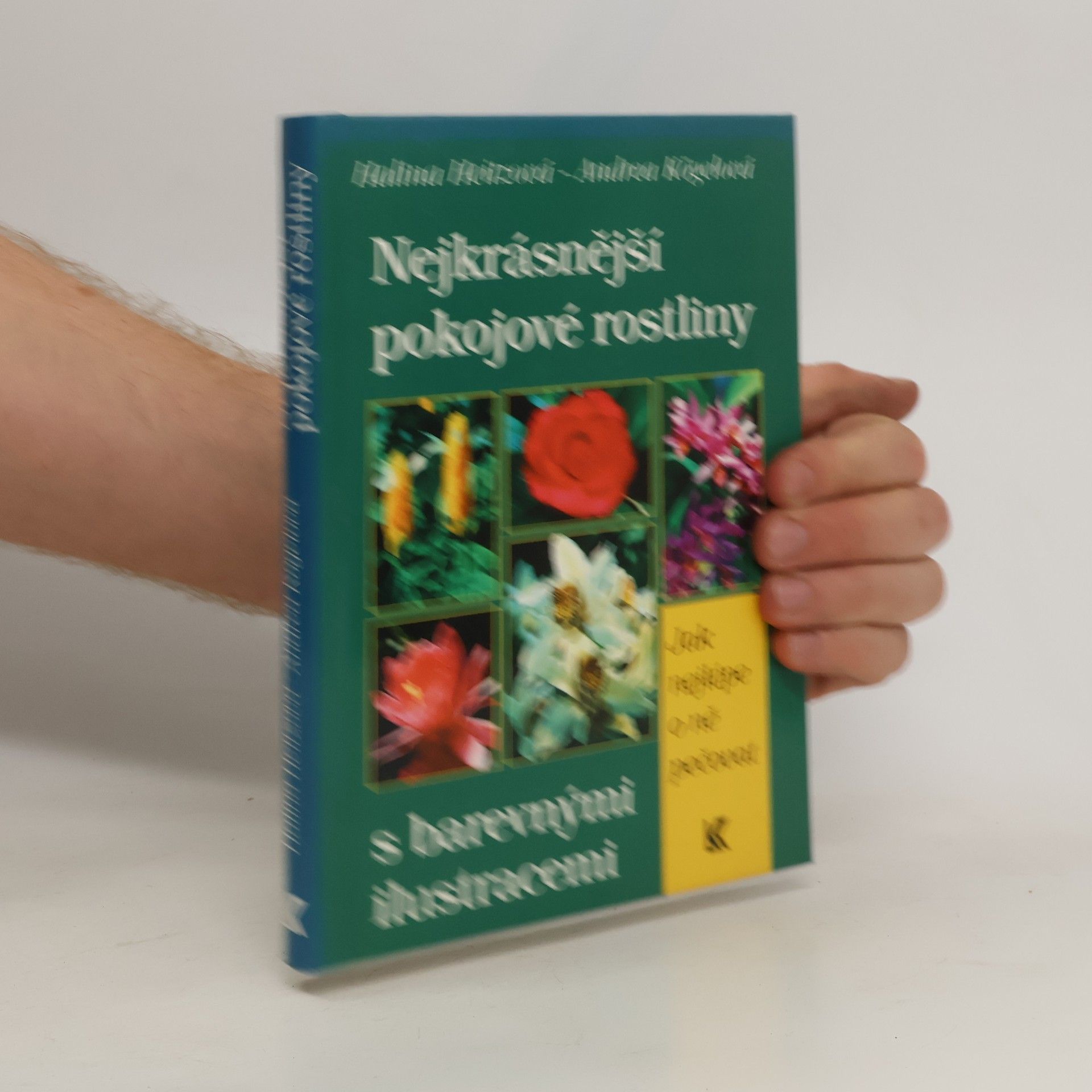Halina Heitz Nejkrásnější pokojové rostliny