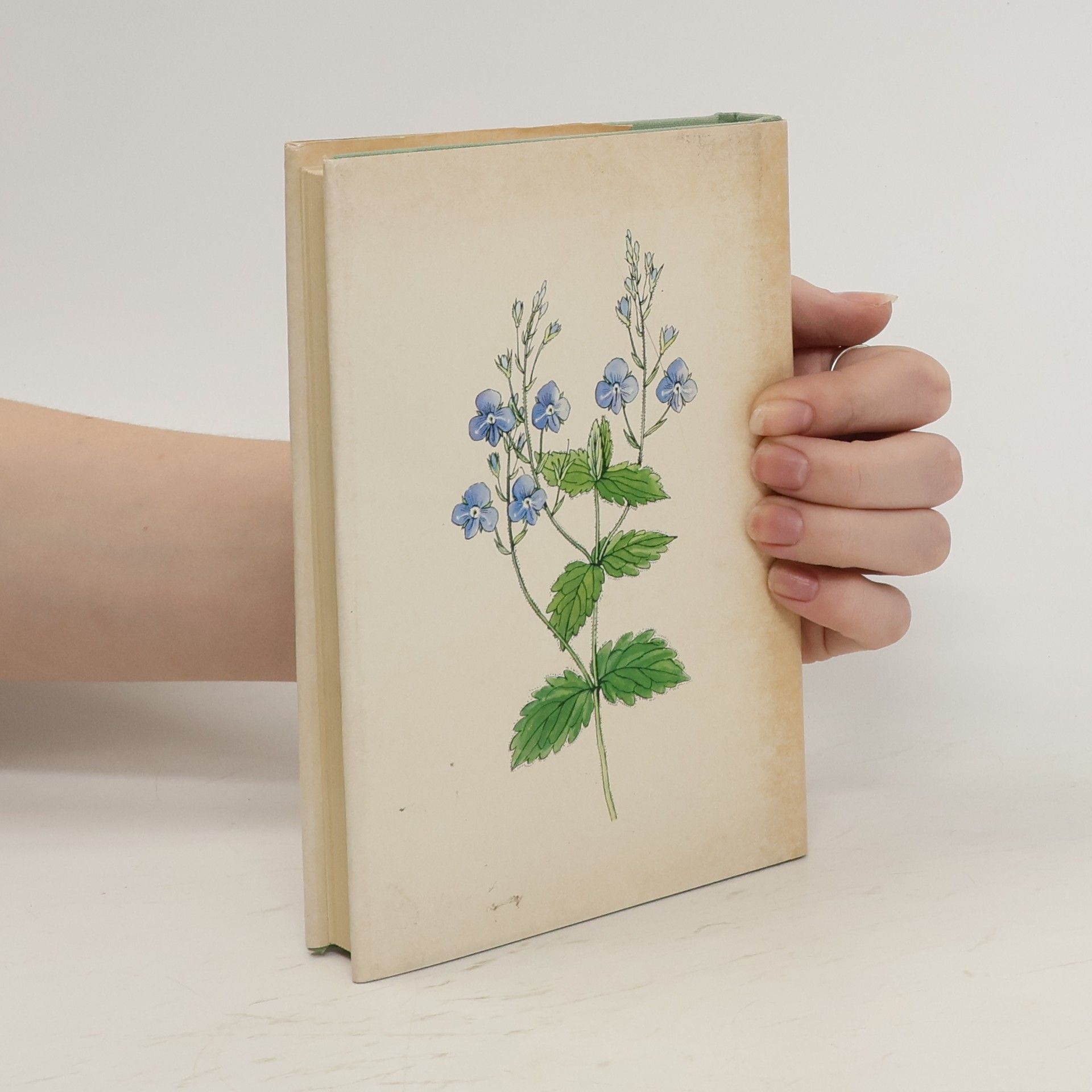 Karel Svolinský Taschenatlas der Pflanzen