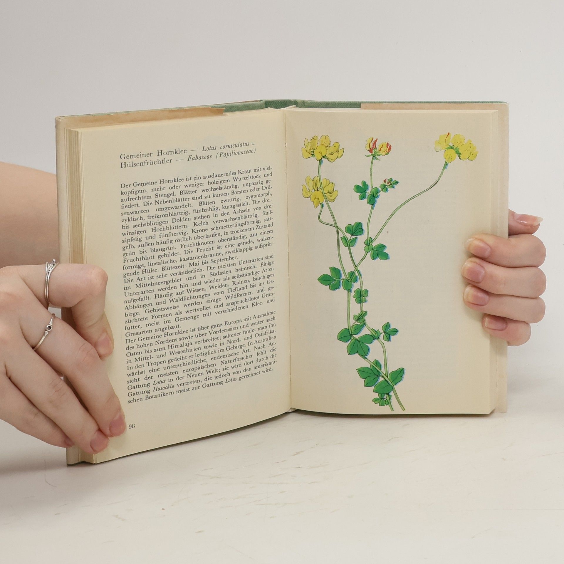 Karel Svolinský Taschenatlas der Pflanzen