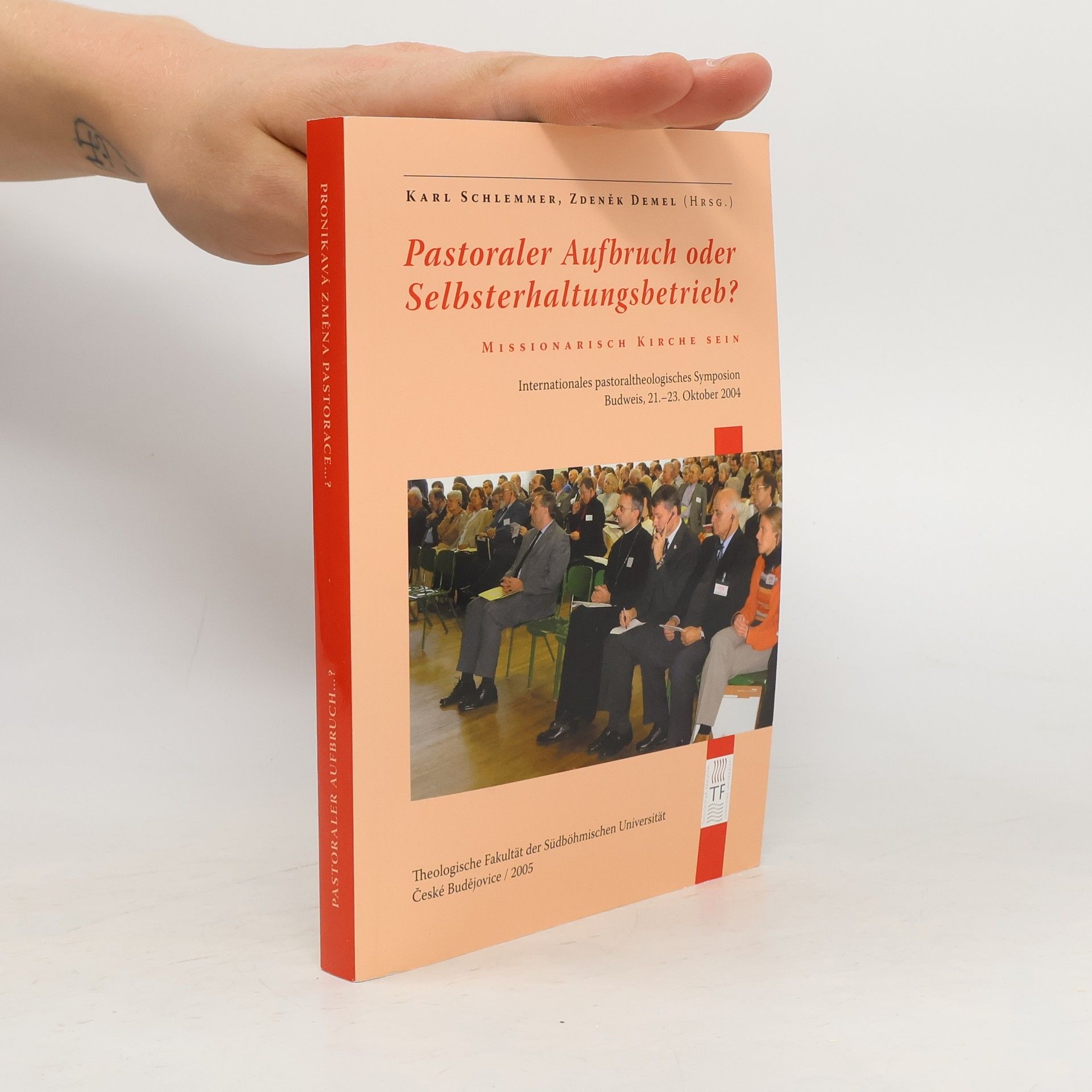 Collectif d'auteurs Pronikavá změna pastorace nebo sebezáchovný provoz? Pastoraler Aufbruch oder Selbsterhaltungsbetrieb?