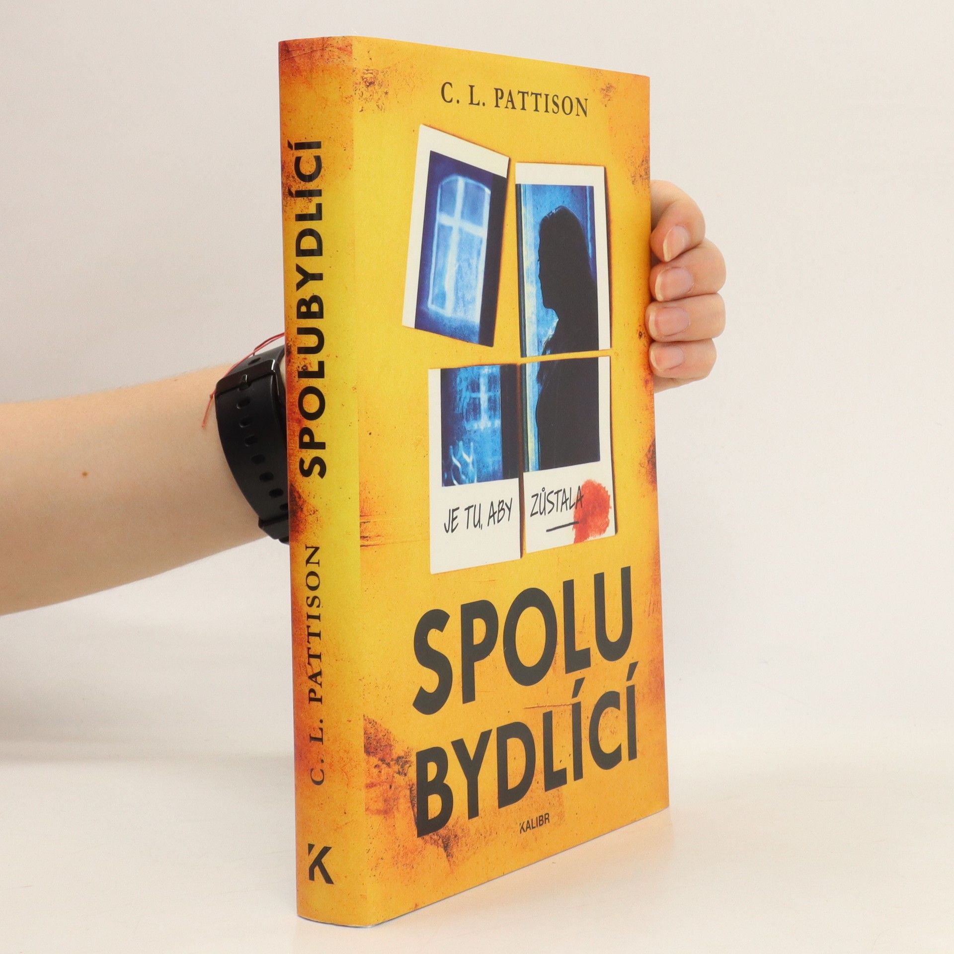 C. L. Pattison Spolubydlící