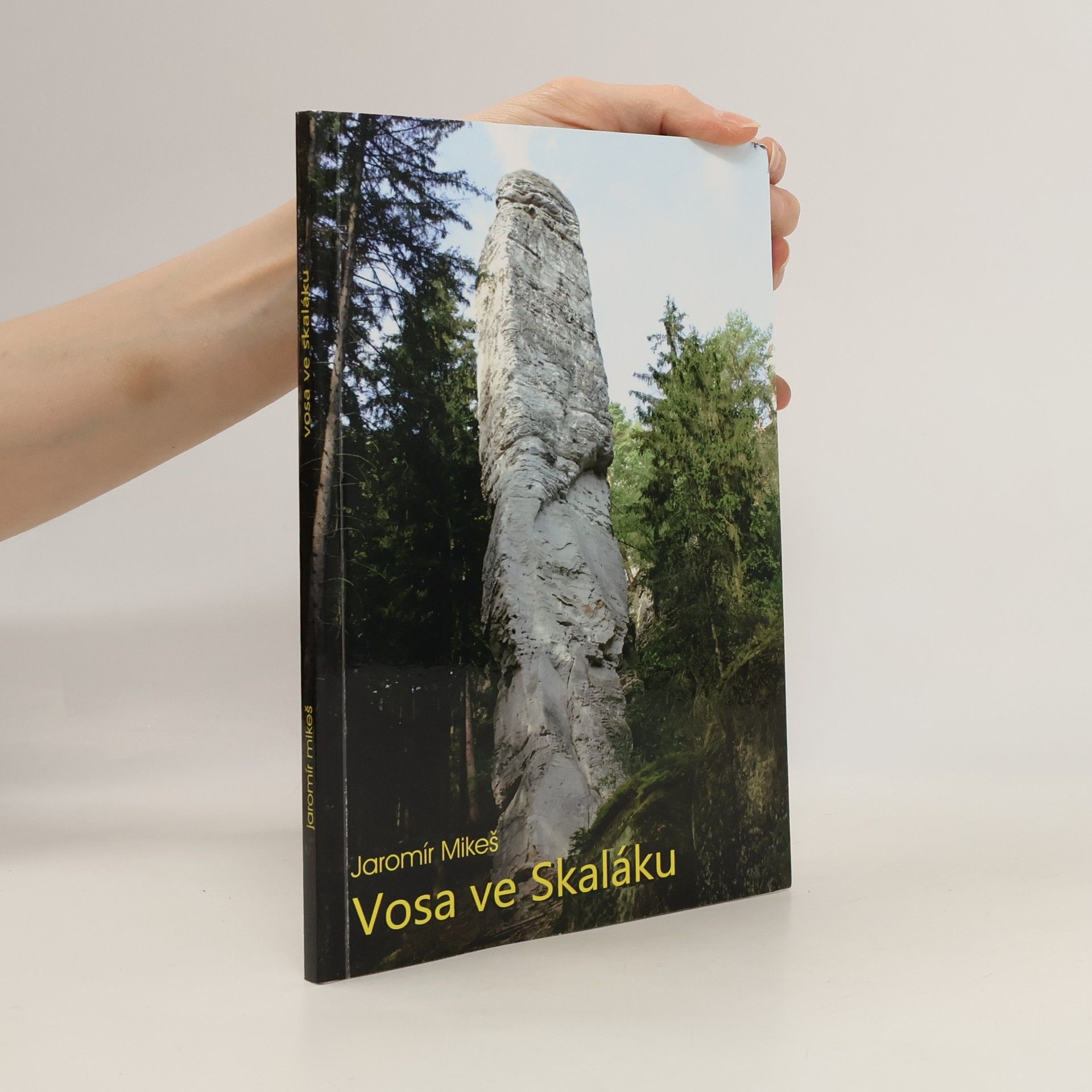 Jaromír Mikeš Vosa ve Skaláku