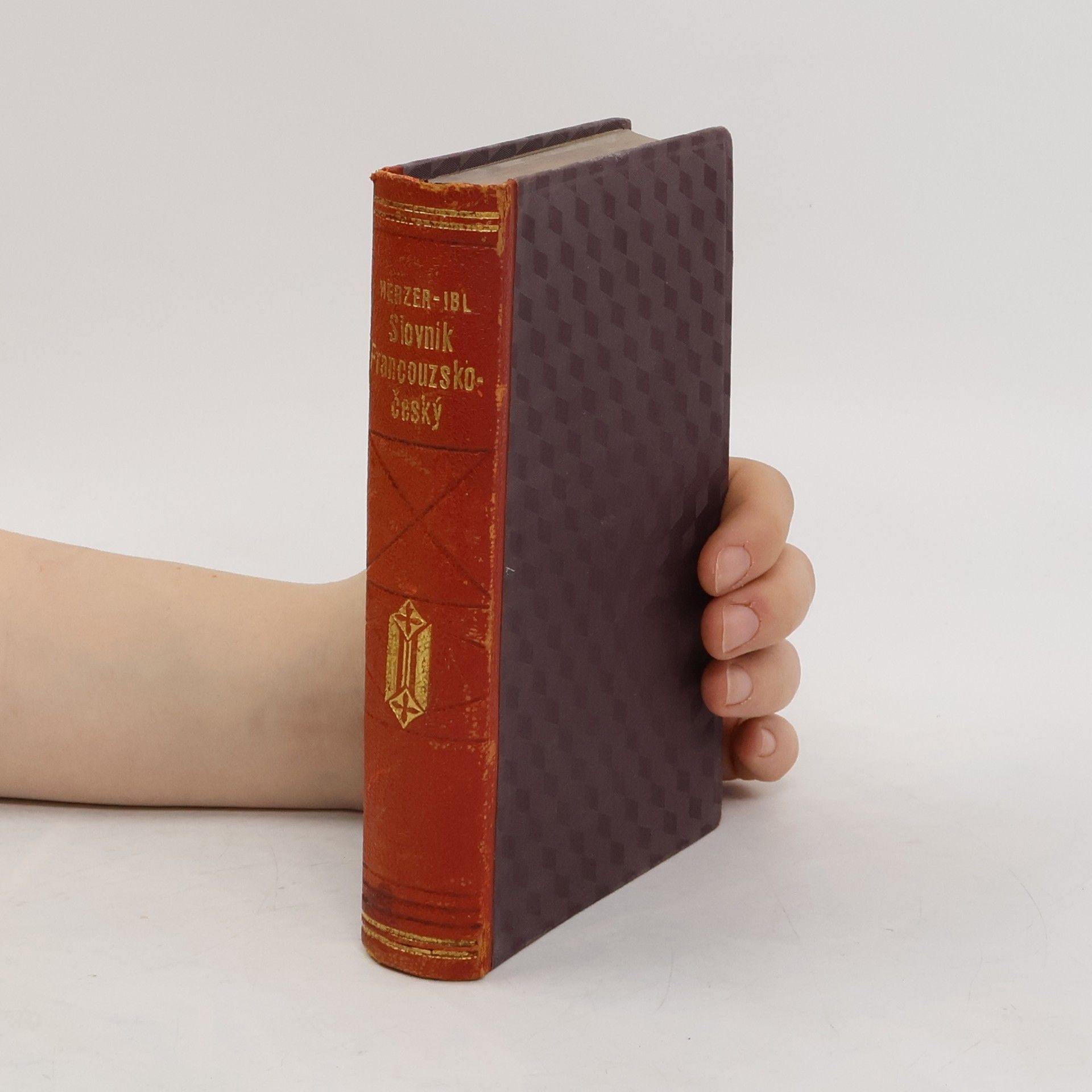 Collectif d'auteurs Slovník francouzsko-český. Kapesní vydání
