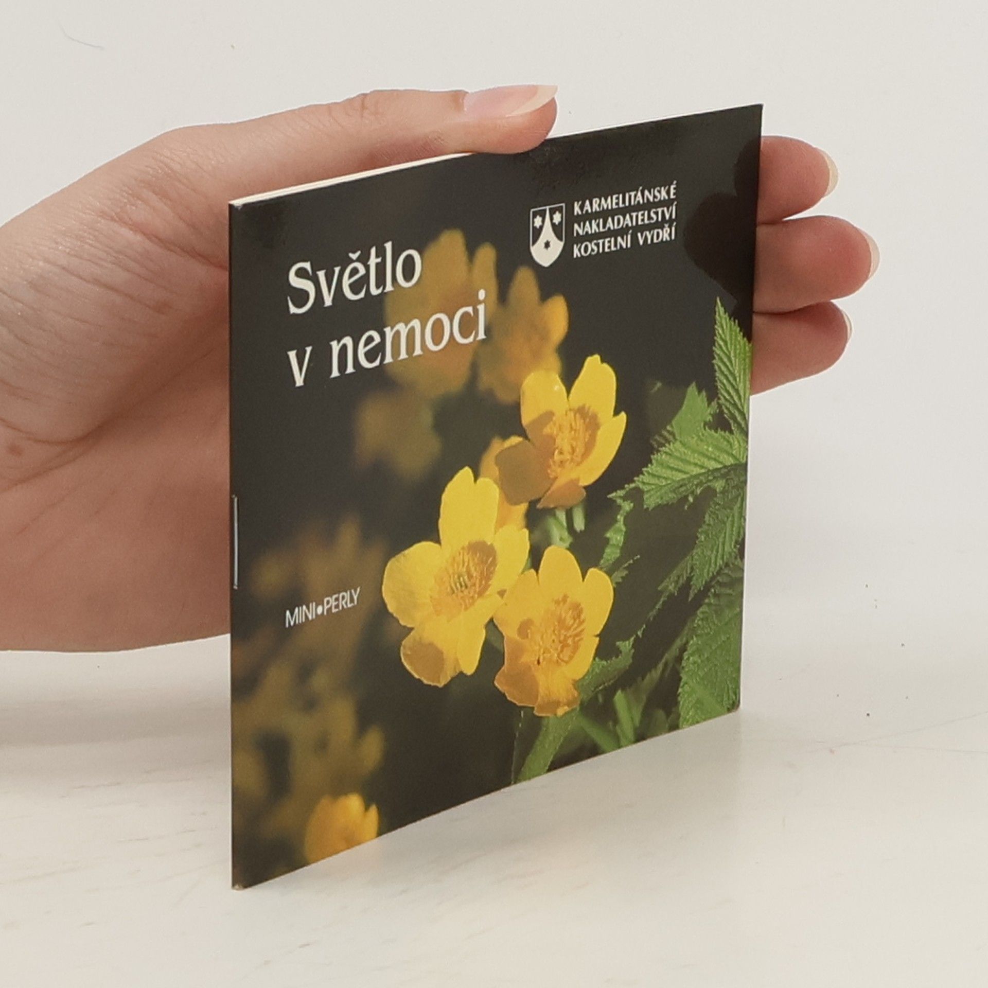 Collectif d'auteurs Světlo v nemoci