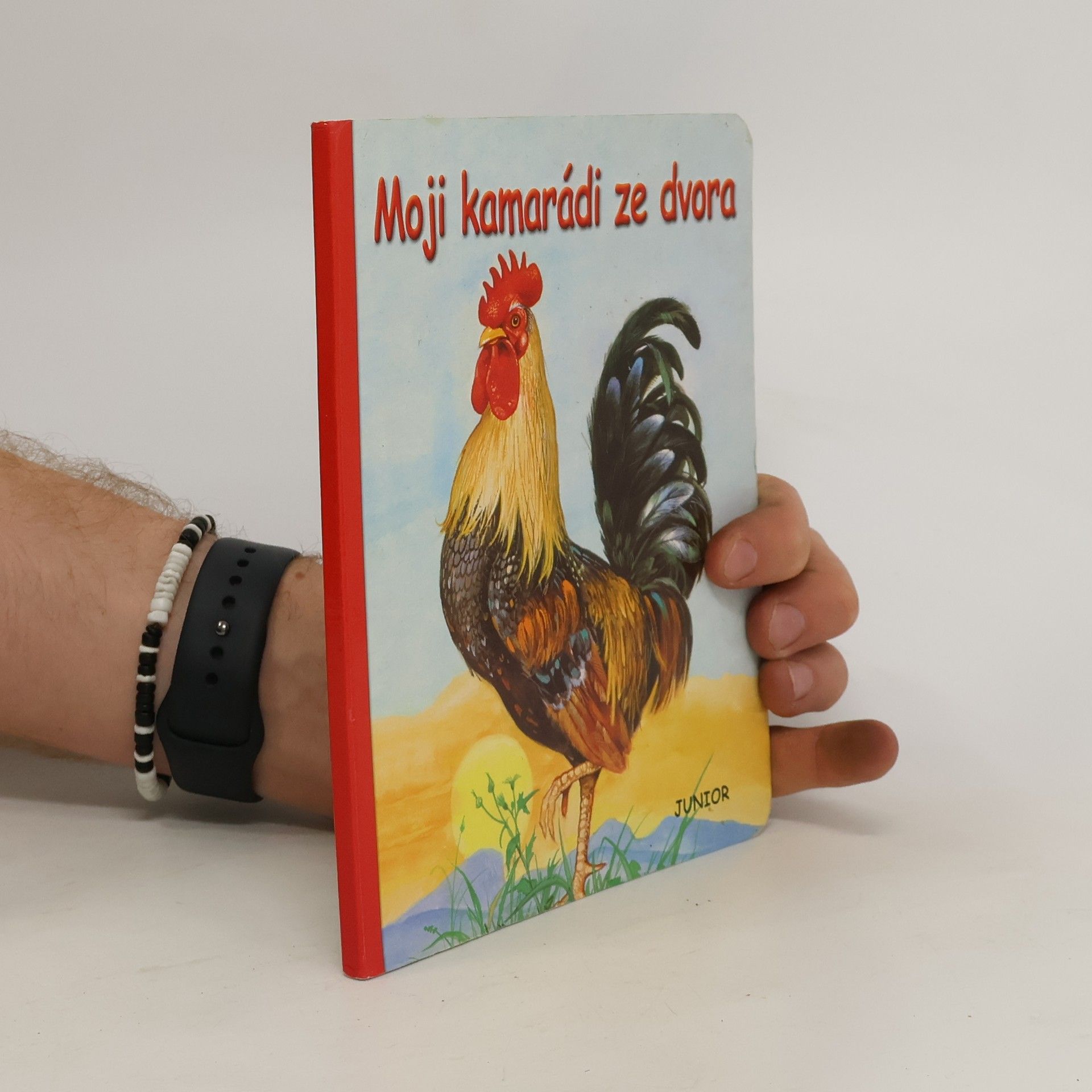 Pierre Couronne Moji kamarádi ze dvora