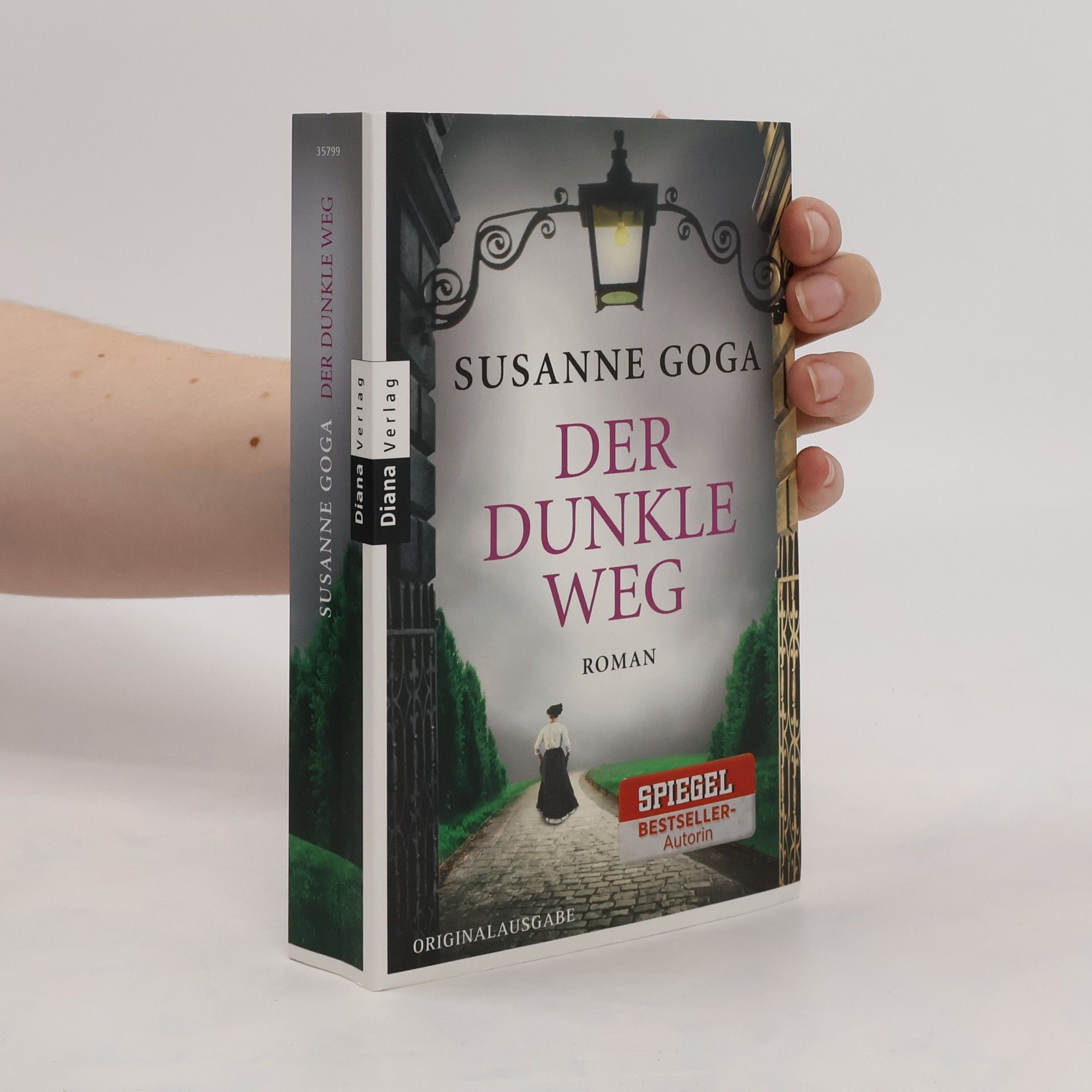 Susanne Goga Der dunkle Weg