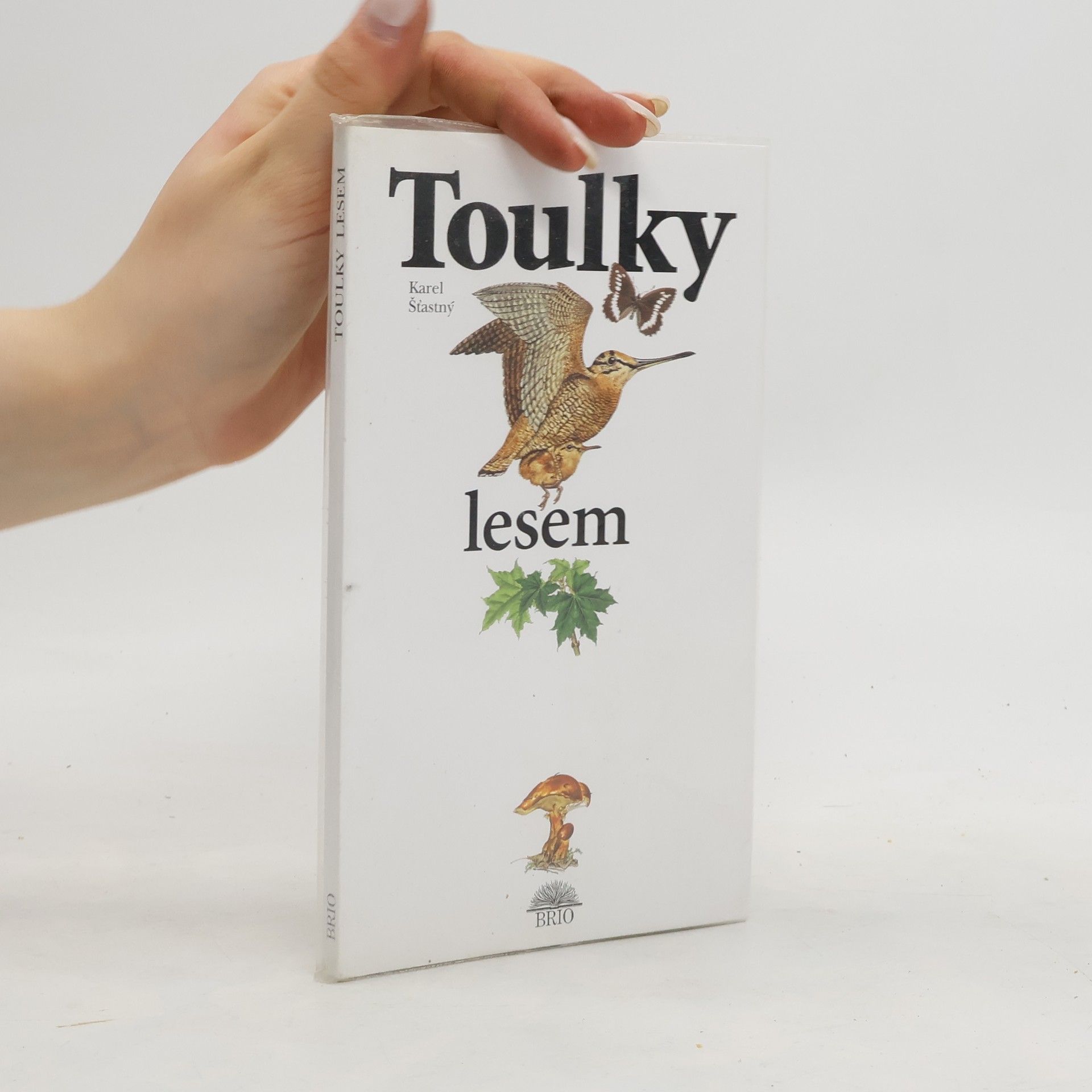 Karel Šťastný Toulky lesem