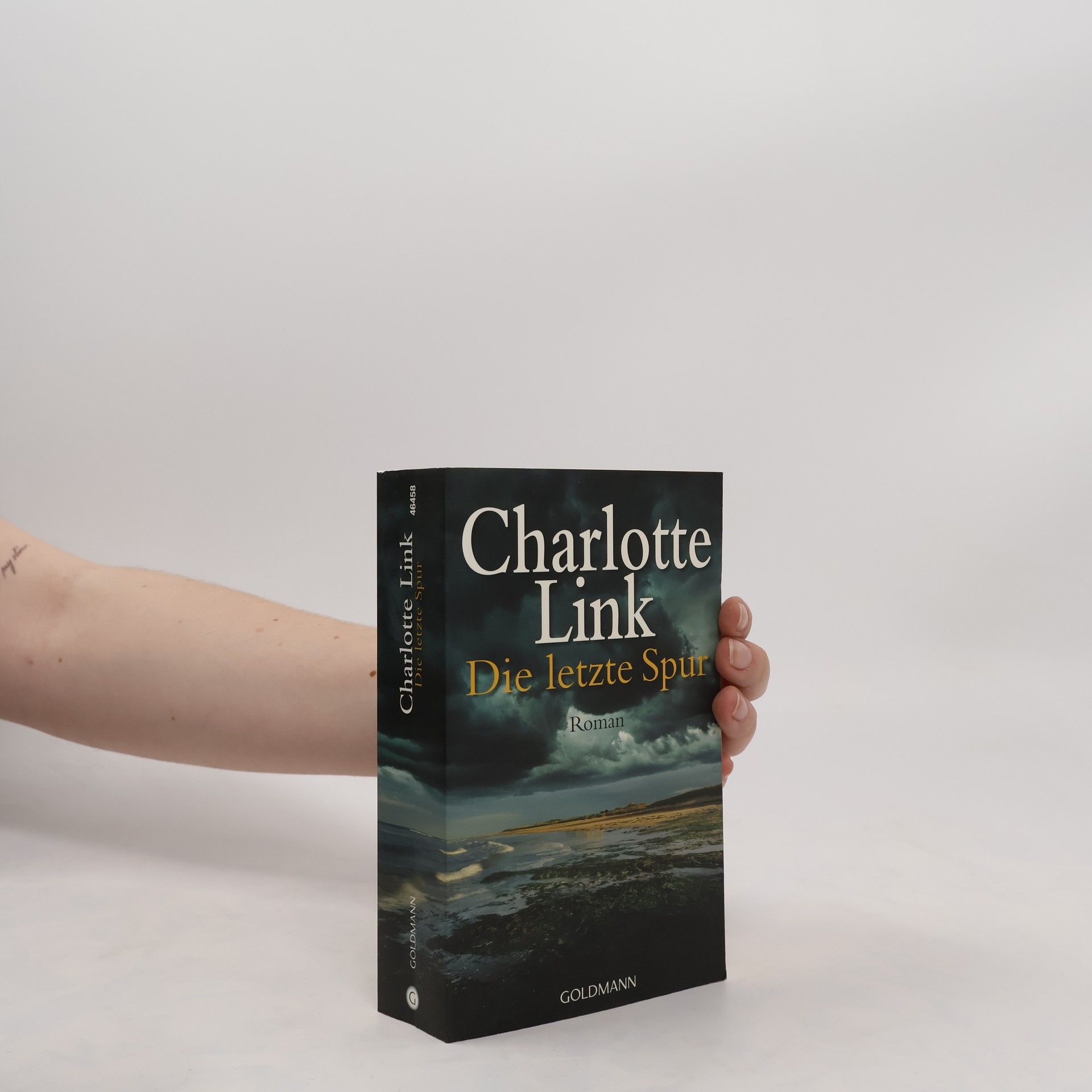 Charlotte Link Die letzte Spur