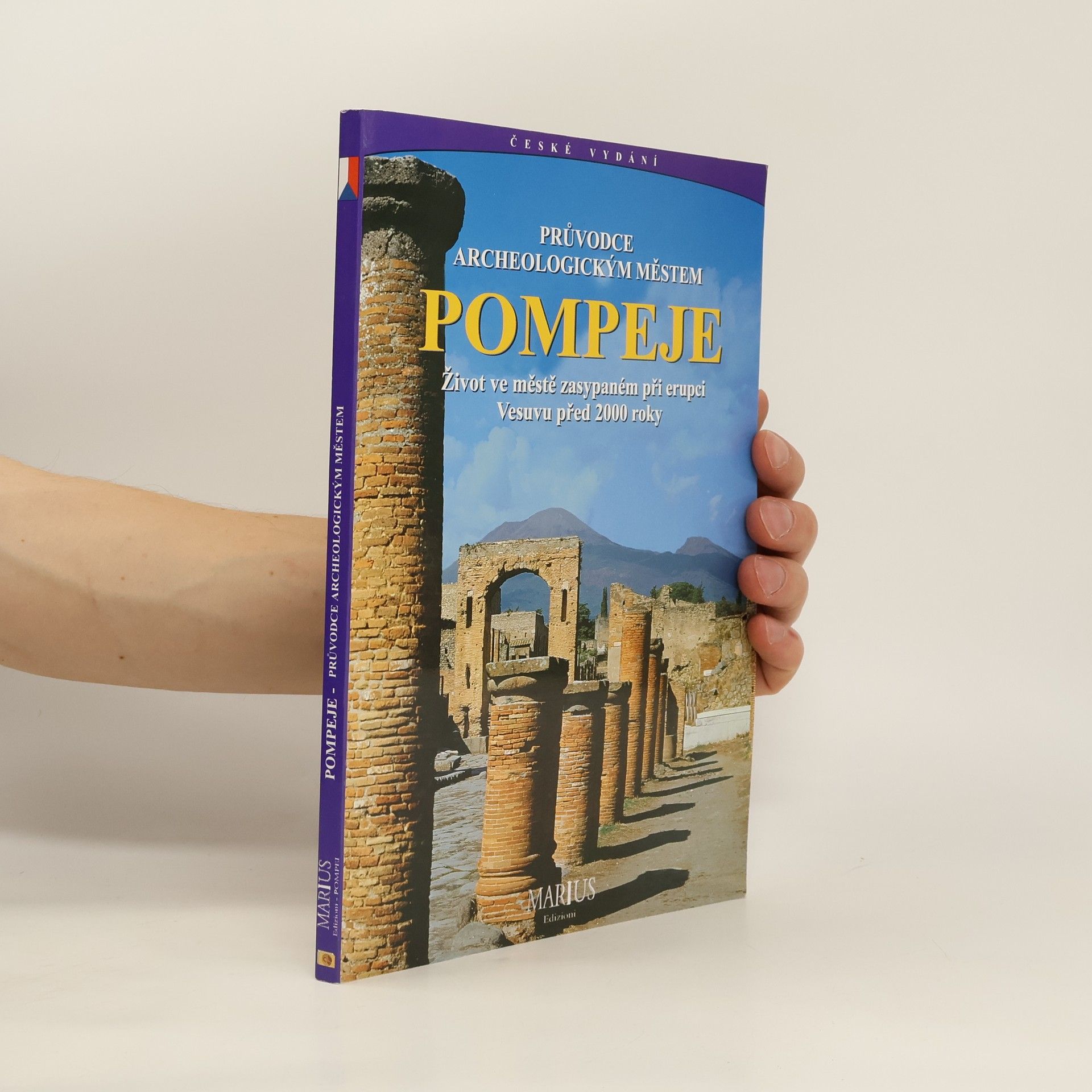 Auteurscollectief Průvodce archeologickým městem Pompeje : Život ve městě zasypaném při erupci Vesuvu před 2000 roky