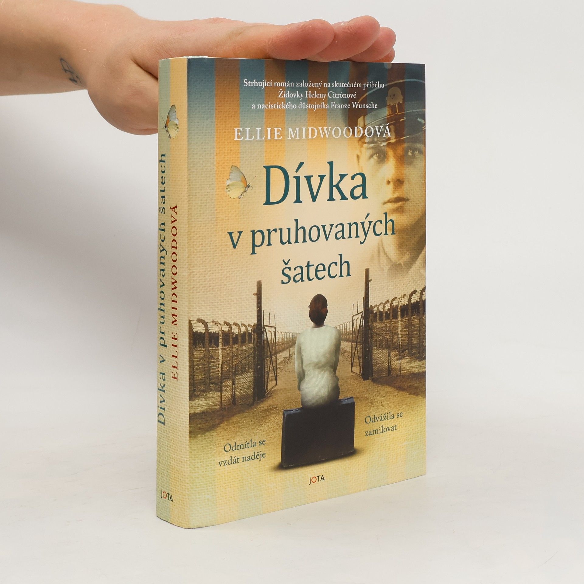 Ellie Midwood Dívka v pruhovaných šatech