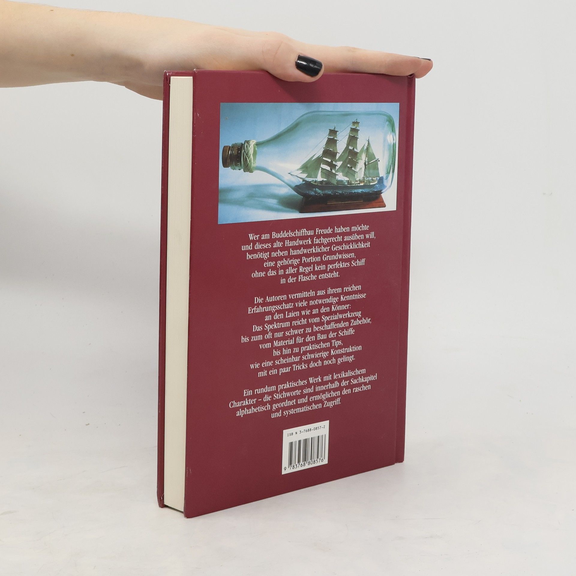 Peter Hille Handbuch für den Buddelschiffbau