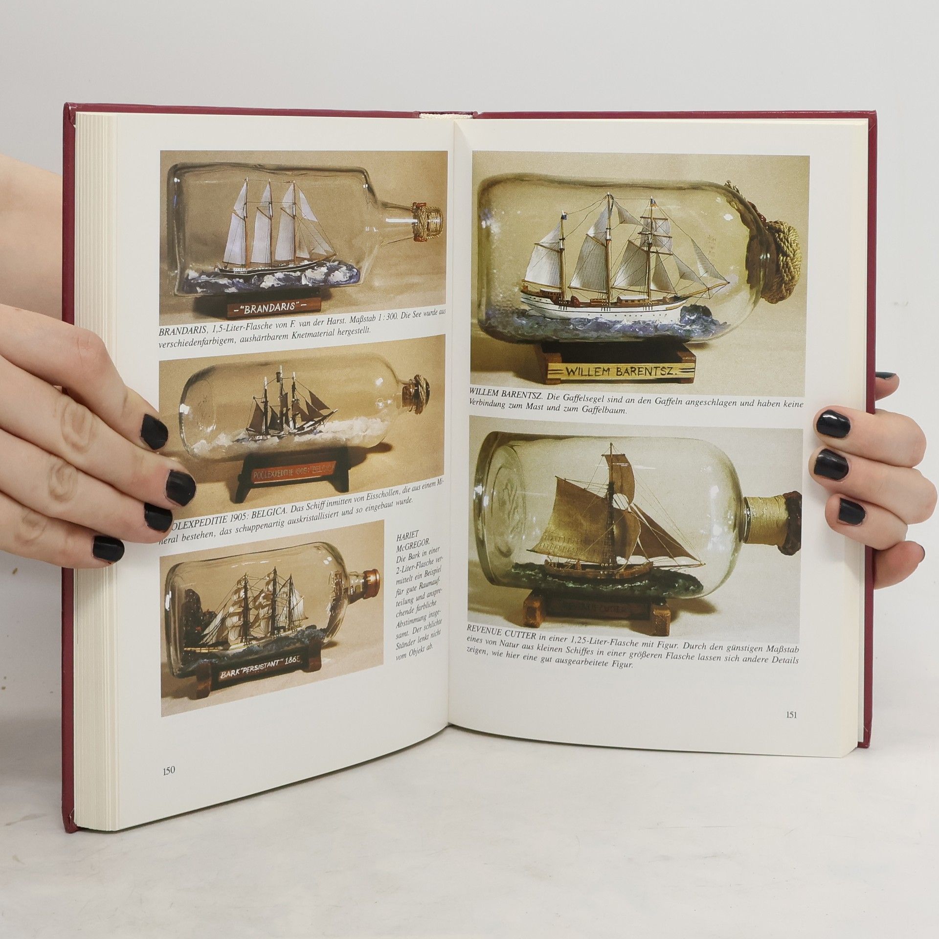 Peter Hille Handbuch für den Buddelschiffbau