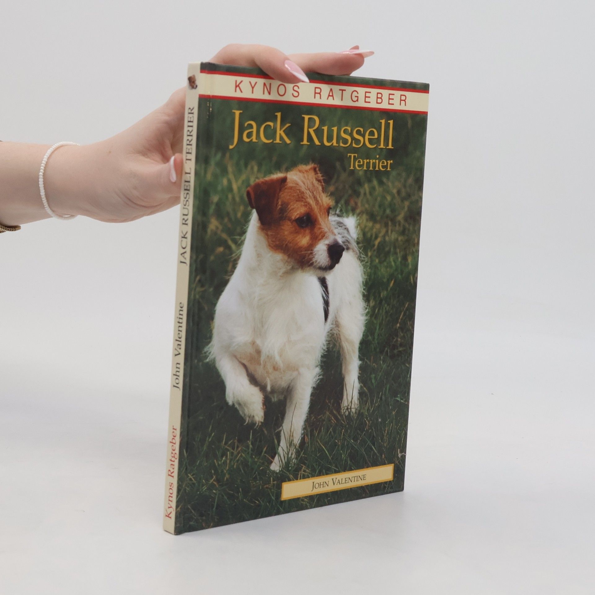 Ken Town Cavalier King Charles Spaniel