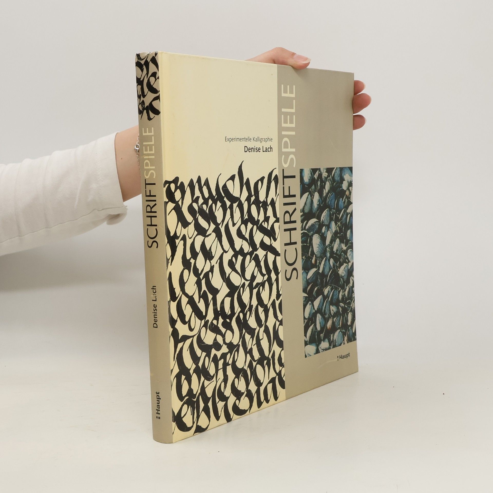 Denise Lach Schriftspiele