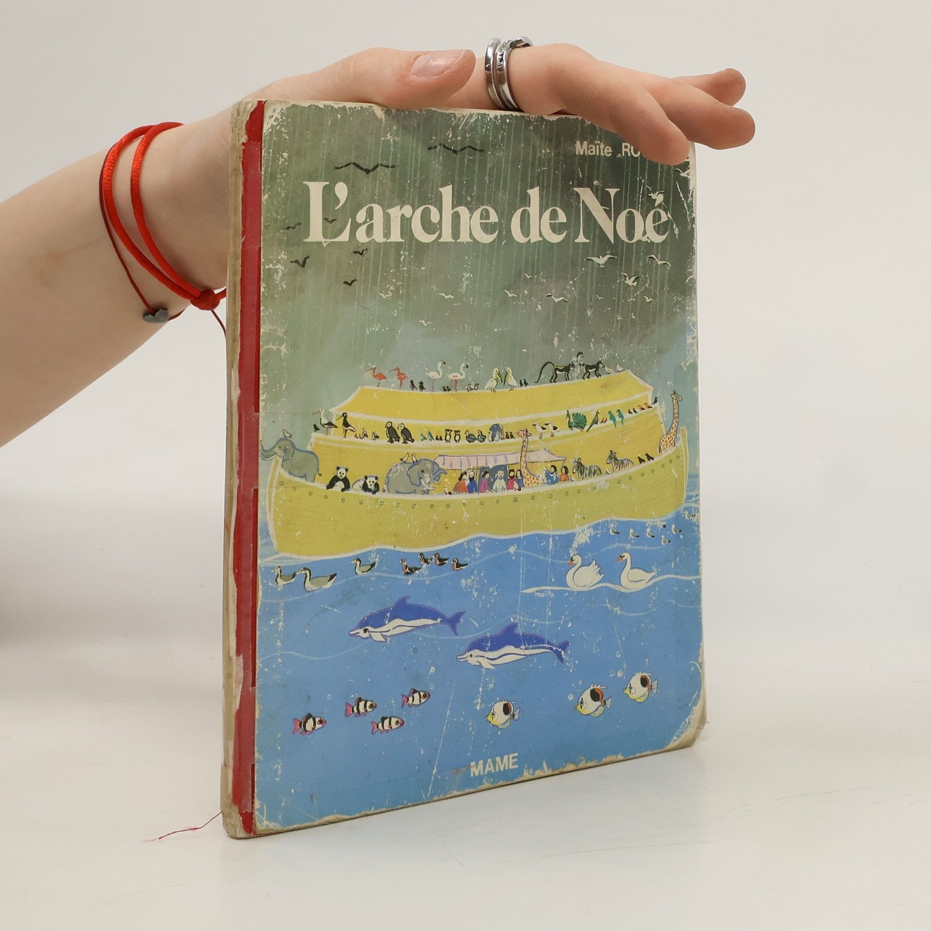 Maite Roche L'Arche de Noé