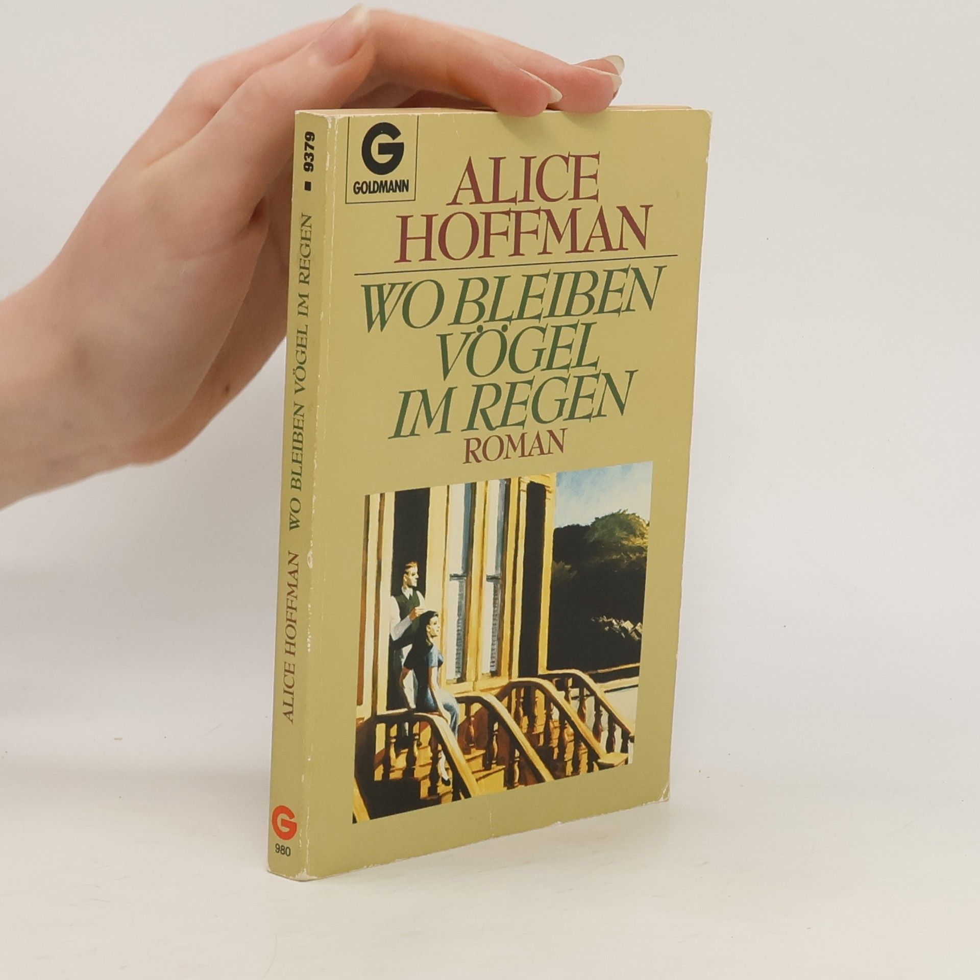 Alice Hoffmann Wo bleiben Vögel im Regen