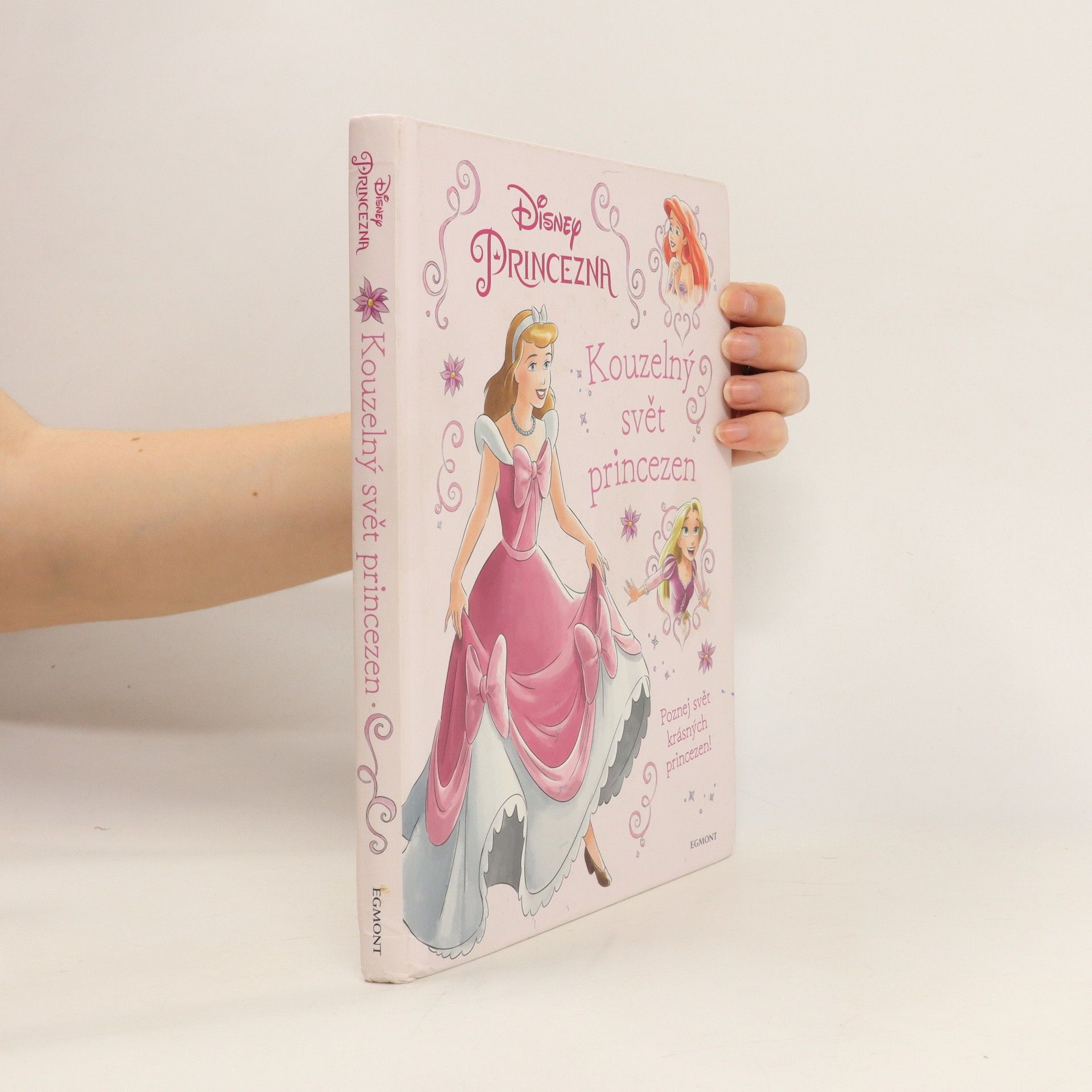 Walt Disney Kouzelný svět princezen