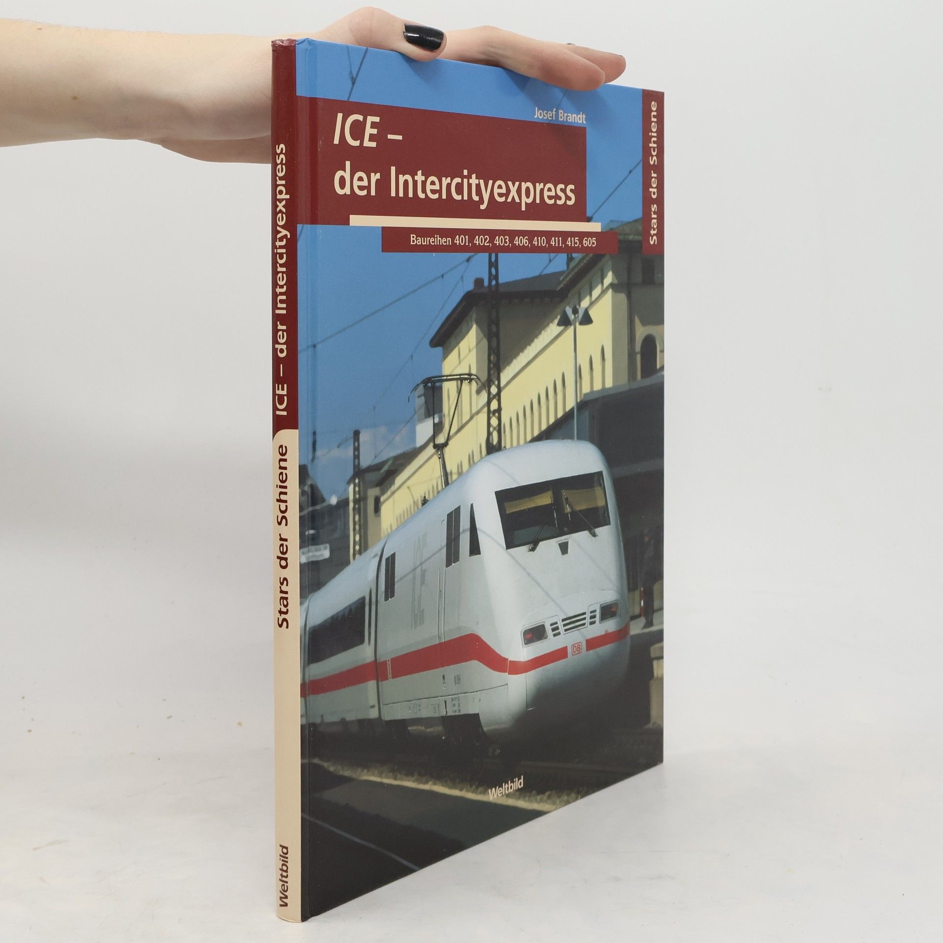 Josef Brandt ICE - der Intercityexpress