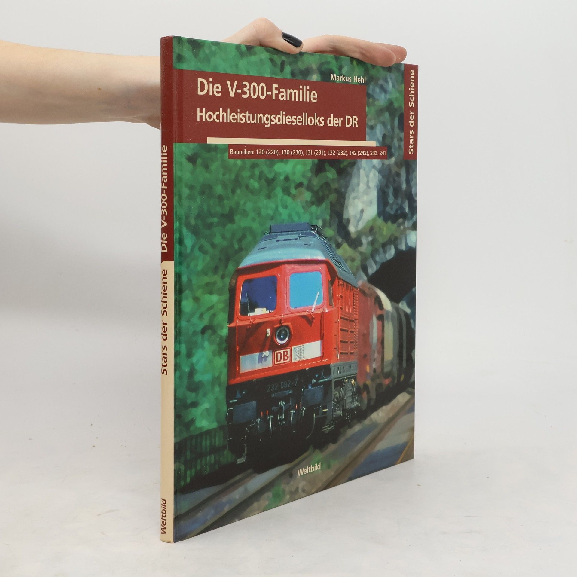 Markus Hehl Die V-300-Familie