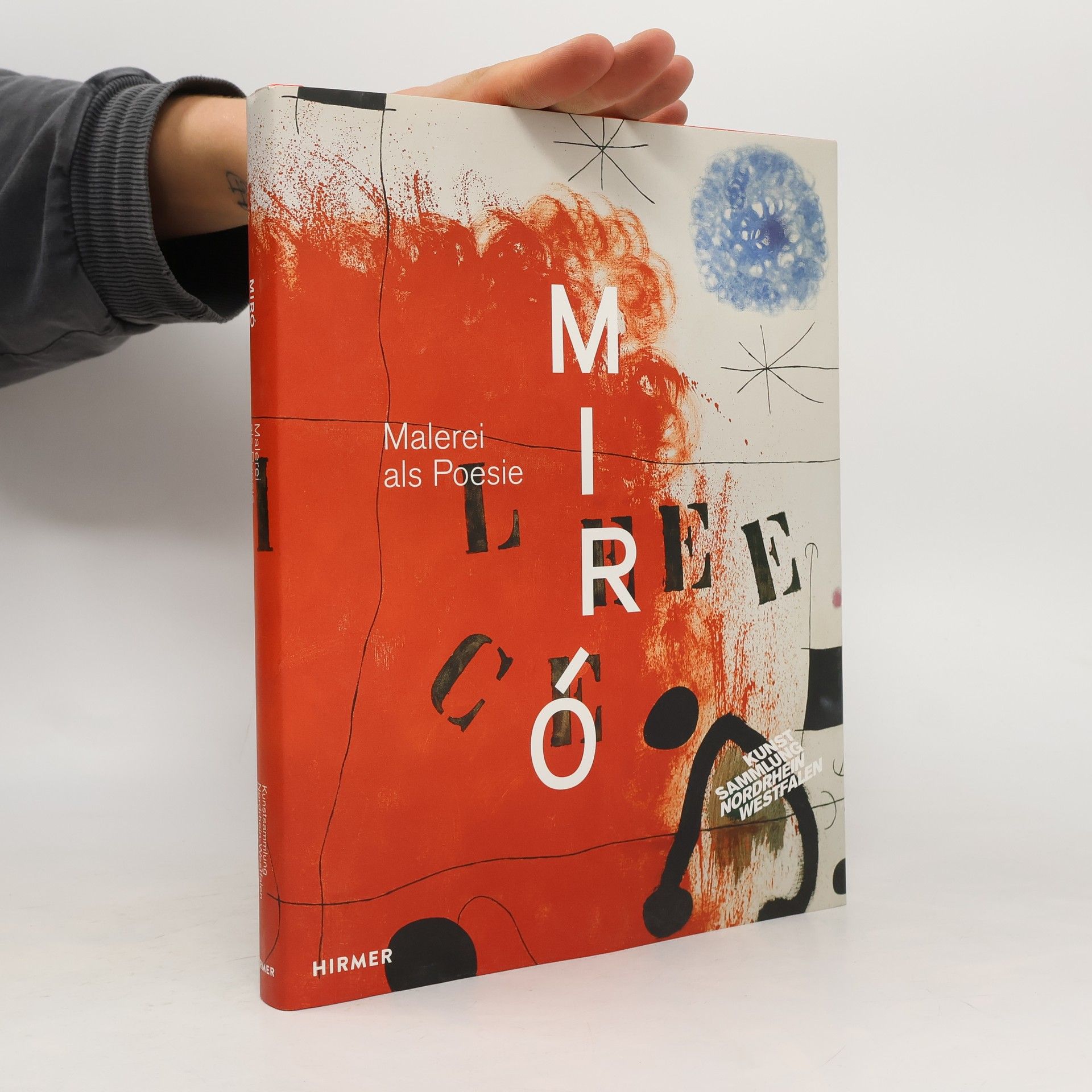 Michael Peppiatt Miró: Malerei als Poesie