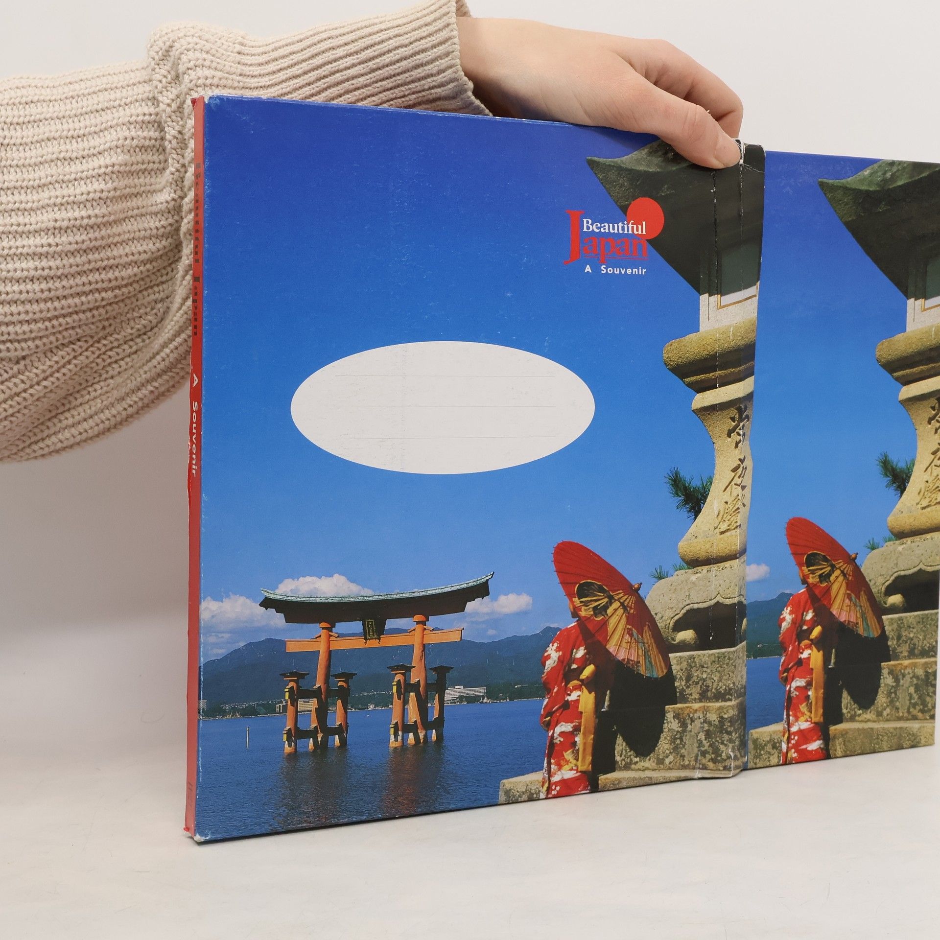 Leza Lowitz Beautiful Japan : a souvenir