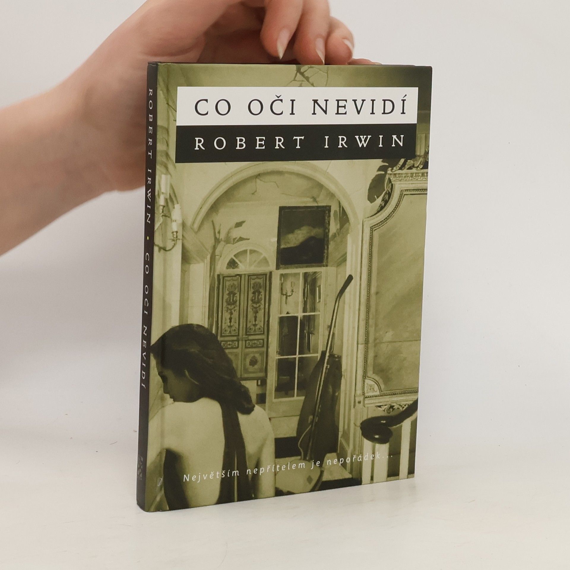 Robert Irwin Co oči nevidí