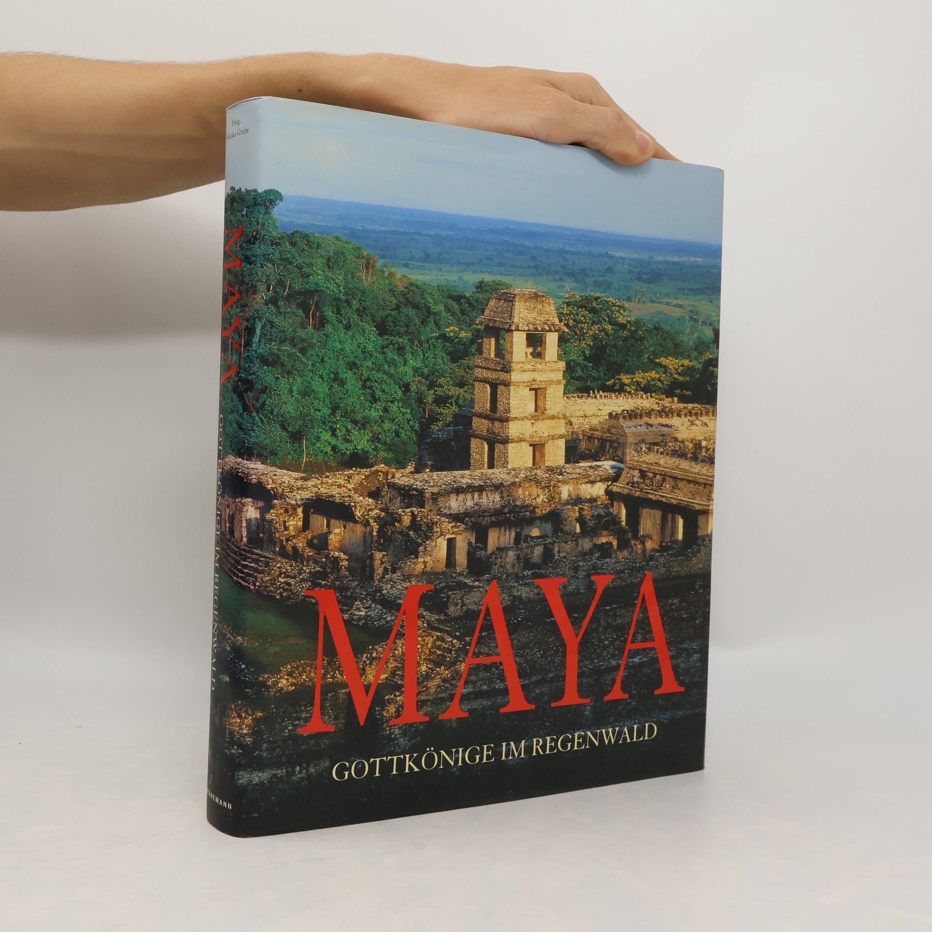 Nikolai Grube Maya. Gottkönige im Regenwald