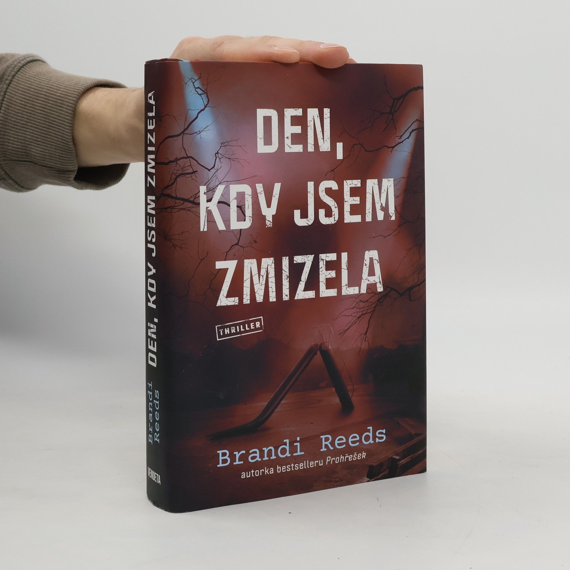 Brandi Reeds Den, kdy jsem zmizela