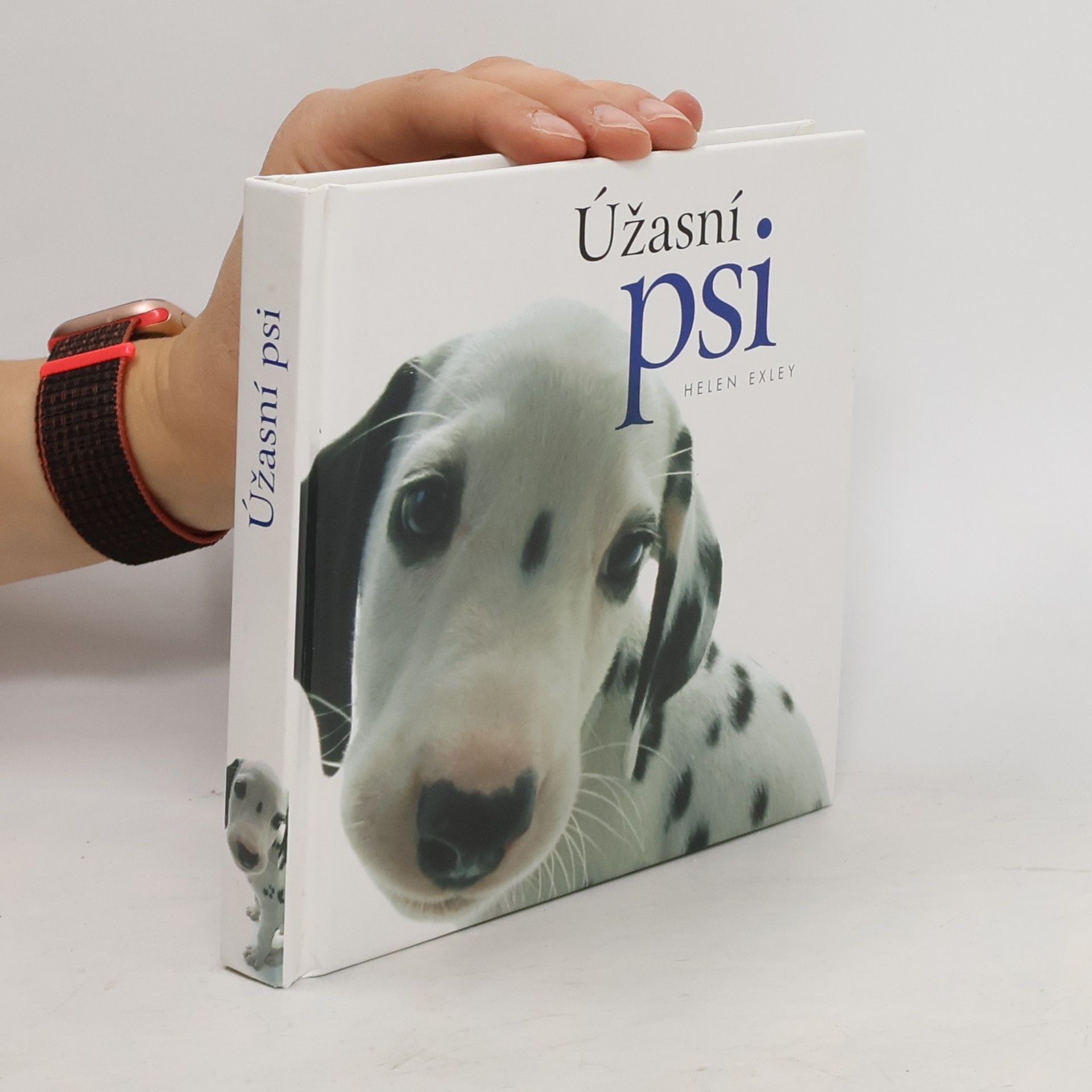 Yoneo Morita Úžasní psi