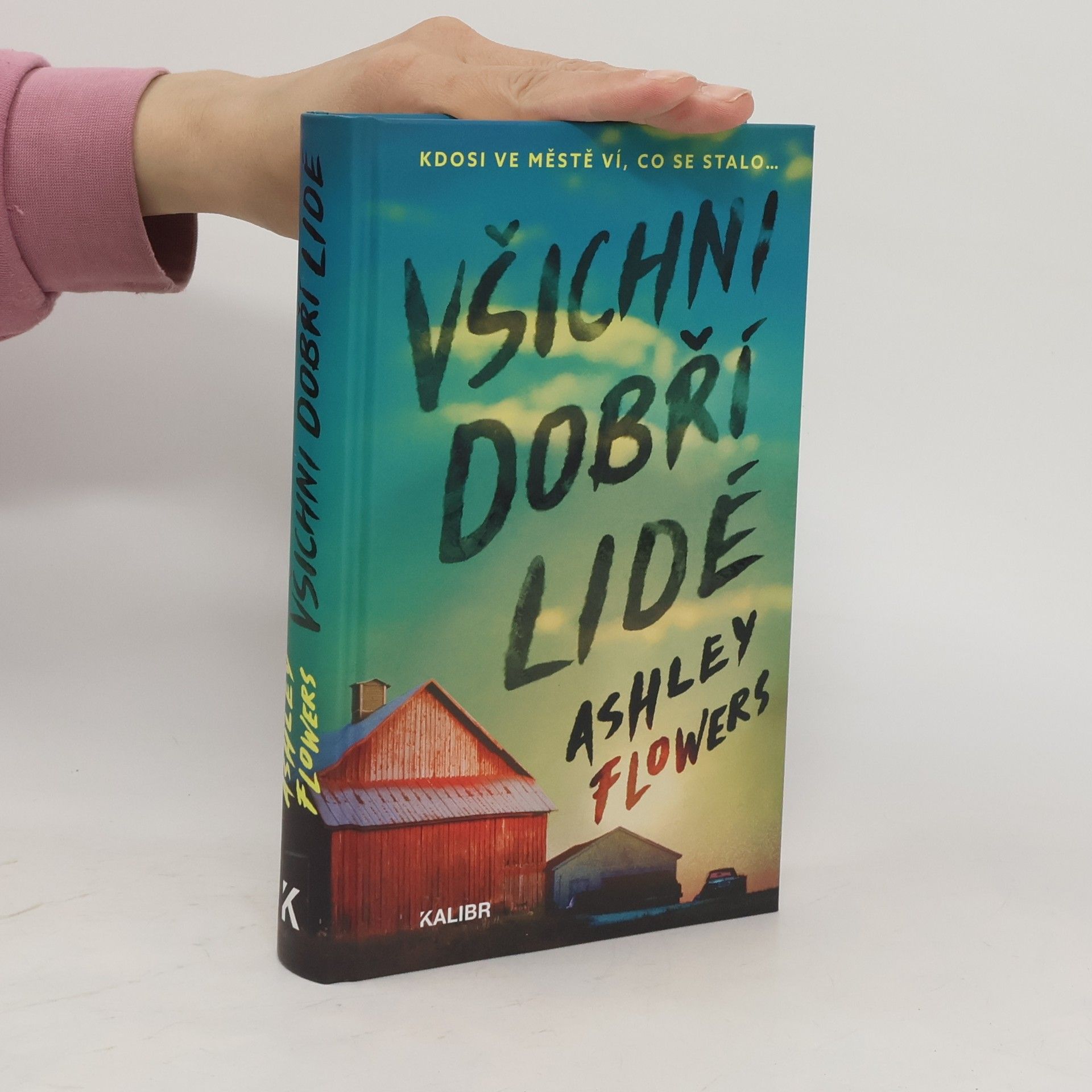 Ashley Flowers Všichni dobří lidé