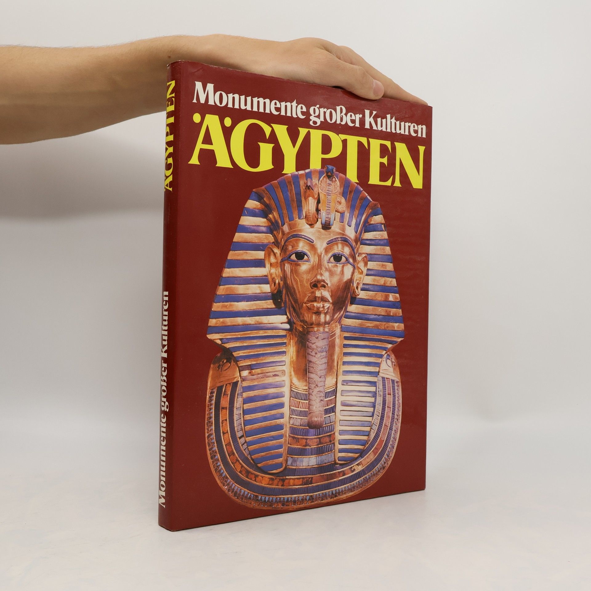 Collectif d'auteurs Ägypten, Monumente Großer Kulturen