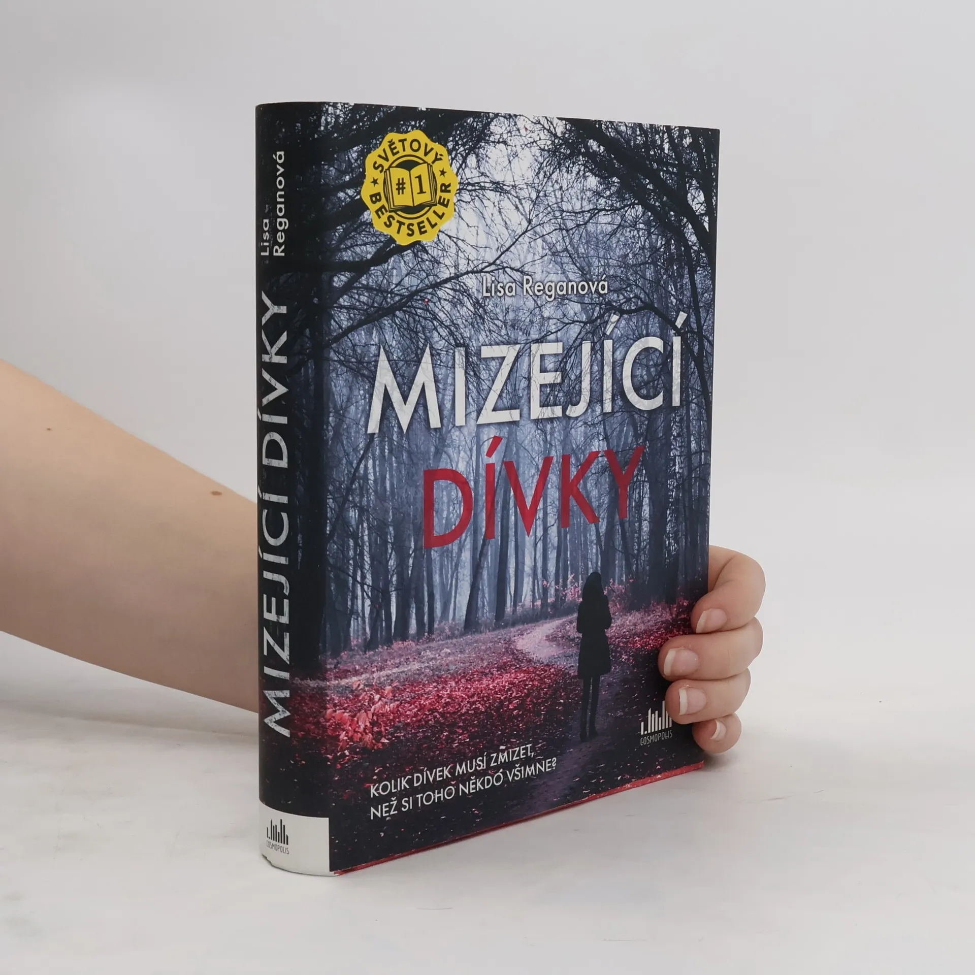 Mizející dívky | Book | Hardcover | Lisa Regan | CS