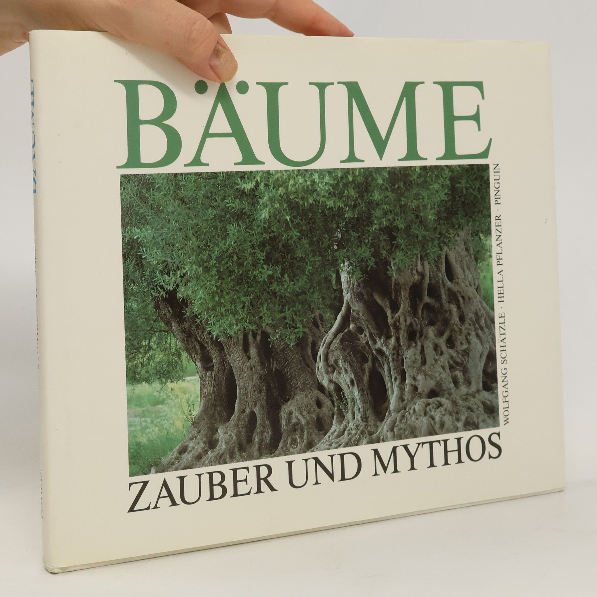 Wolfgang Schätzle Bäume
