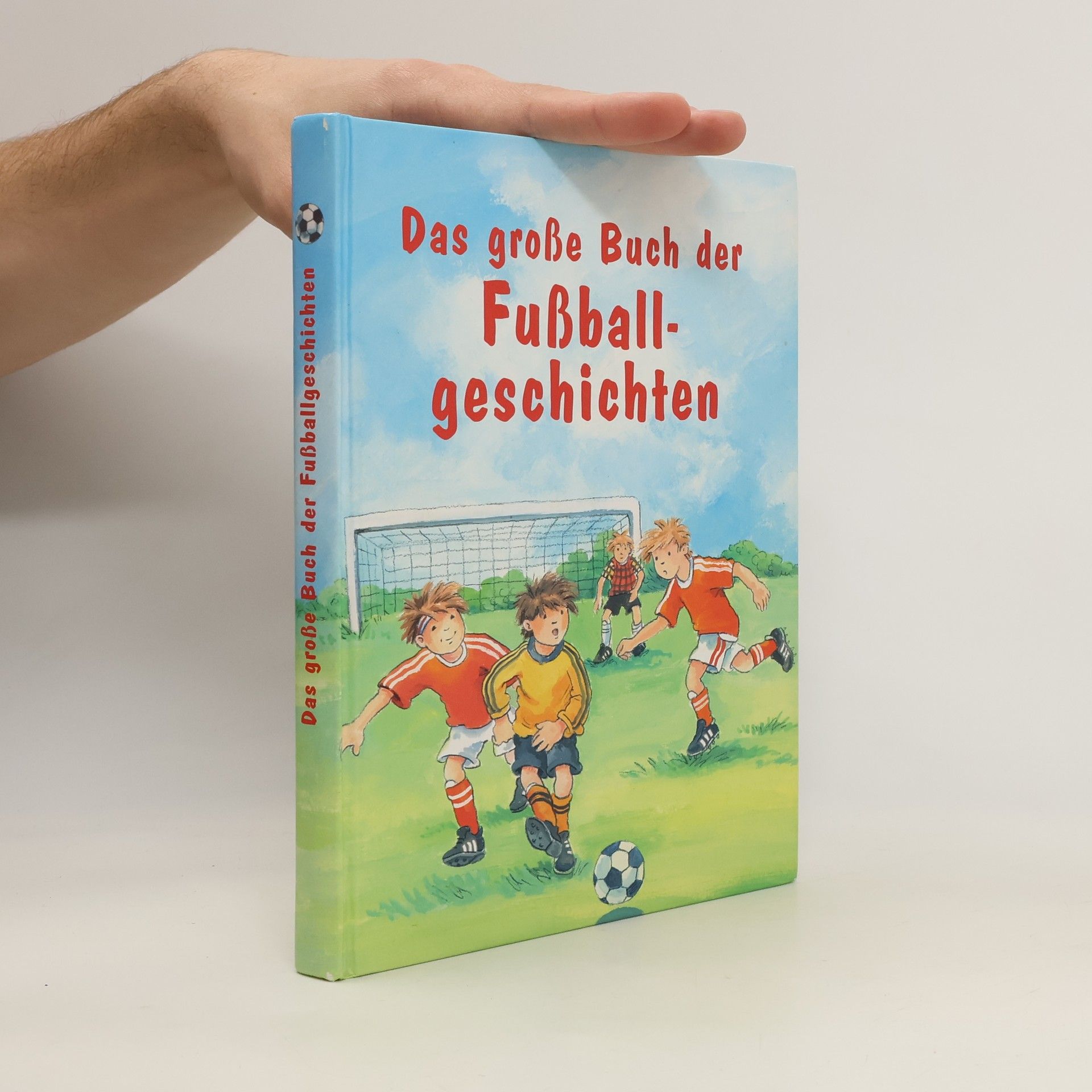 Collective Das große Buch der Fußballgeschichten