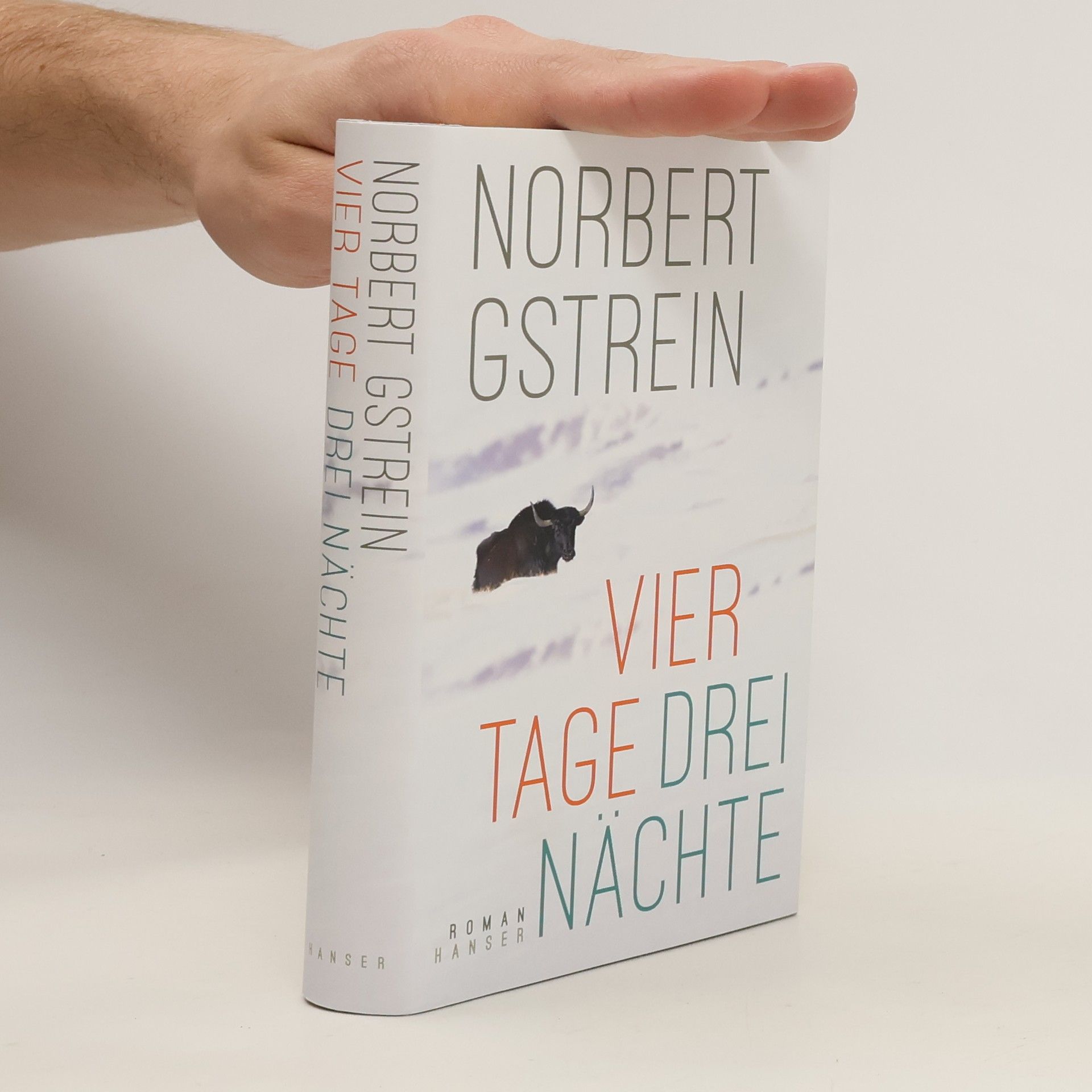 Norbert Gstrein Vier Tage, drei Nächte