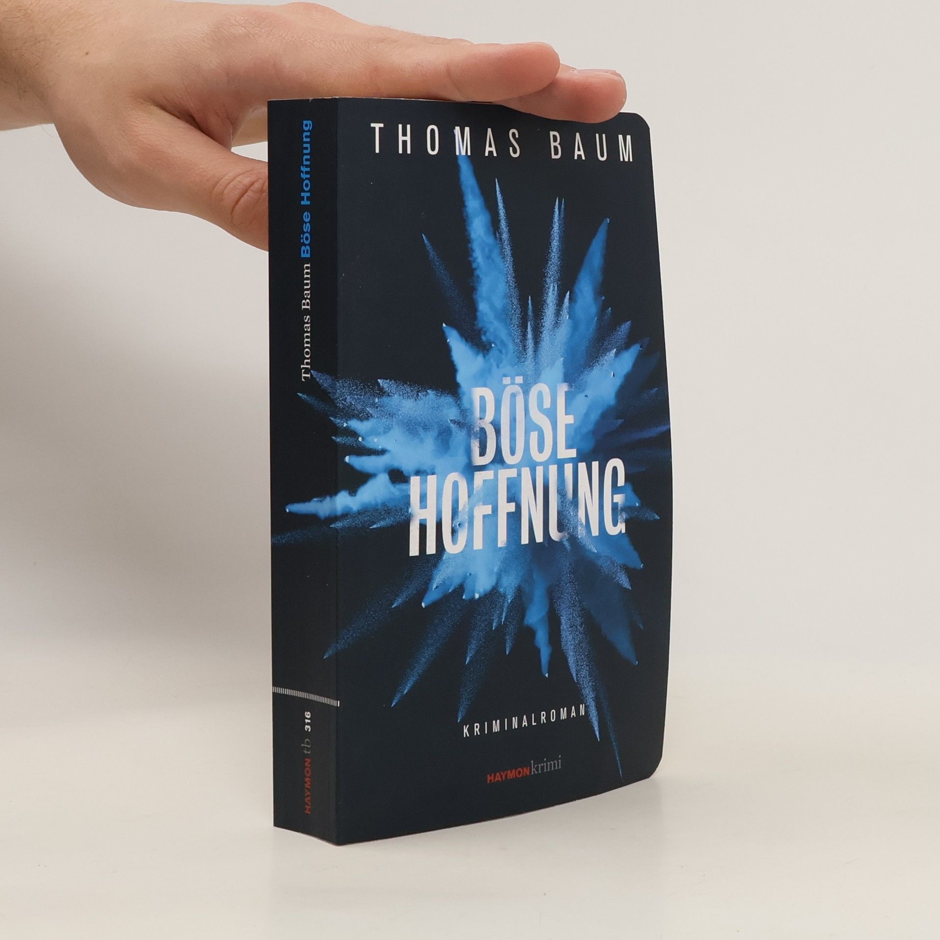Thomas Baum Böse Hoffnung